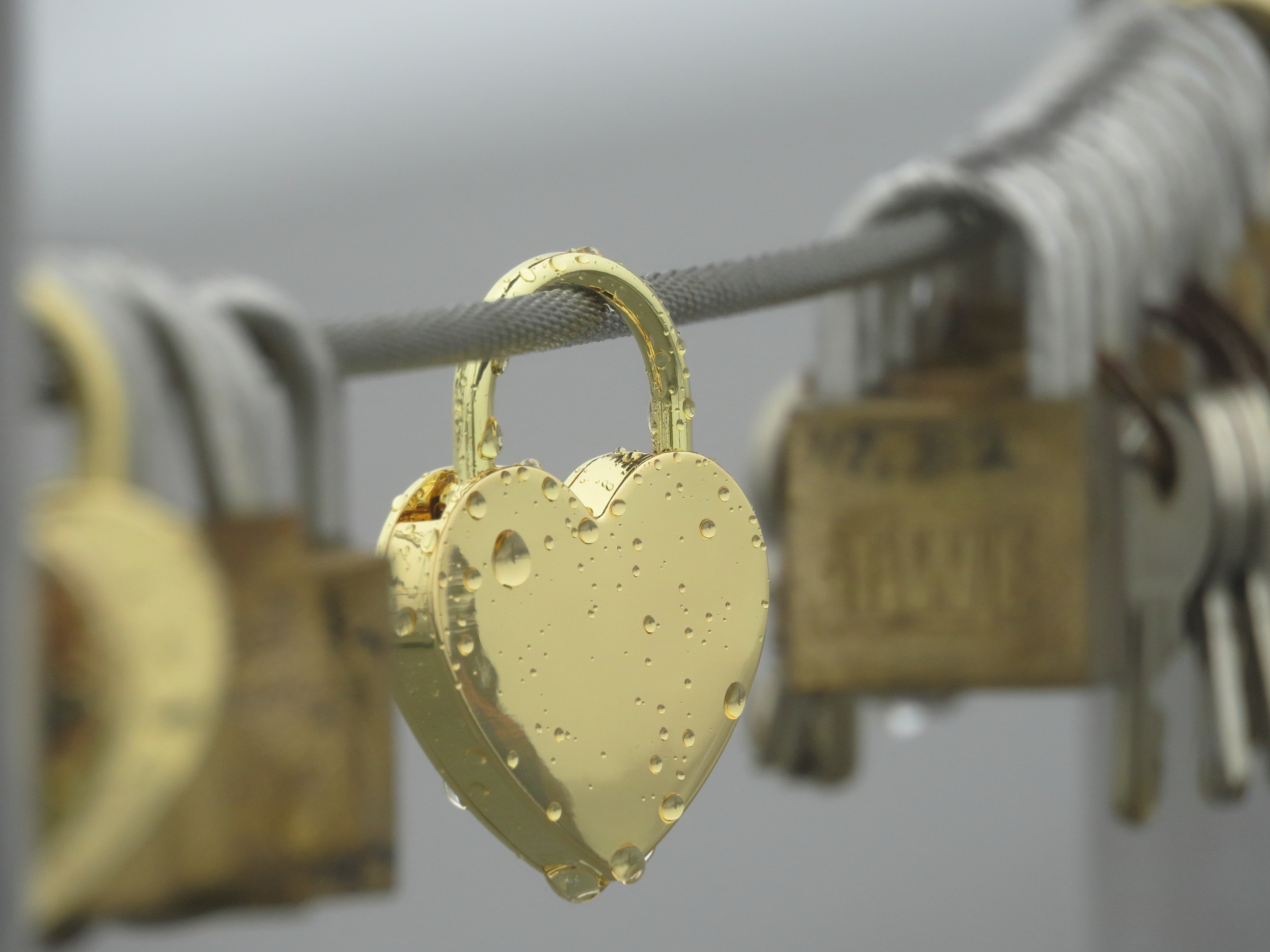 雨のお散歩 真駒内 藻岩山 円山 Chromeさんの藻岩山の活動データ Yamap ヤマップ