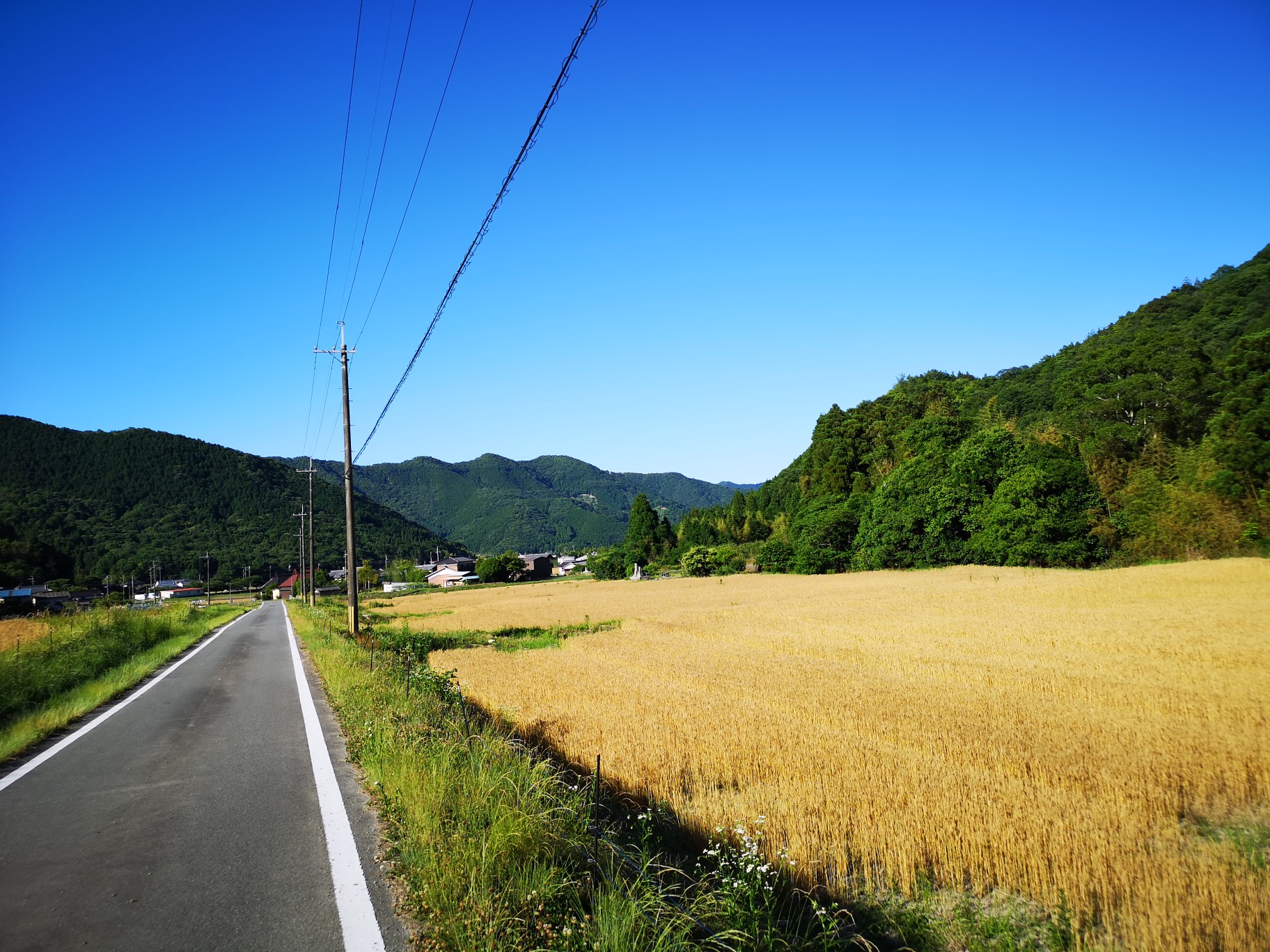 芝田富士 荒神山 荒神社 善定採石場 松尾神社 06 07 ながさんの亀山 鶏籠山 的場山の活動データ Yamap ヤマップ