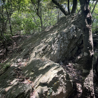 五井山・宮路山・御堂山 大きな岩がでてきた