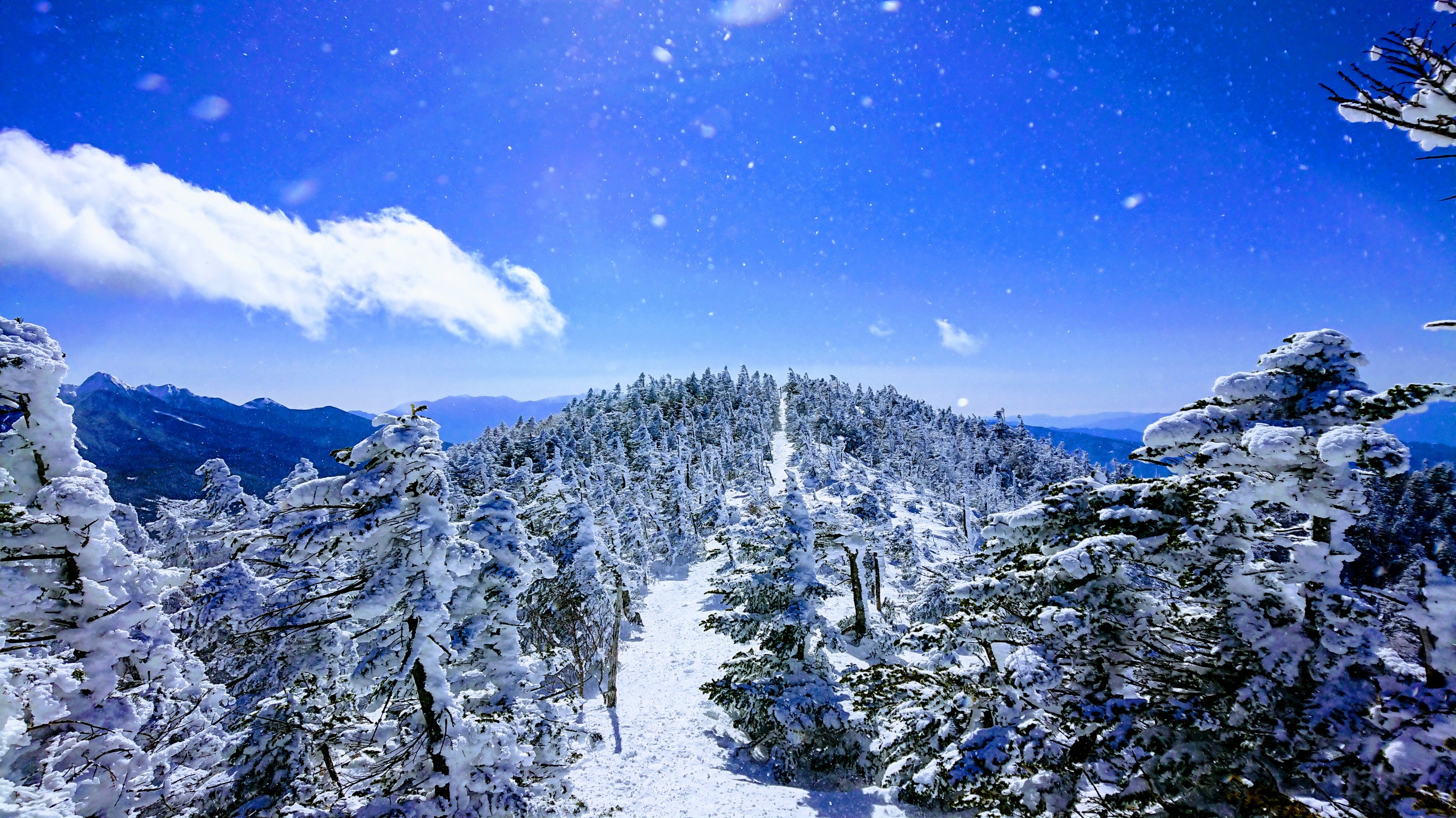 電車 バスで行く北横岳 隼さんの蓼科山 横岳 縞枯山の活動データ Yamap ヤマップ