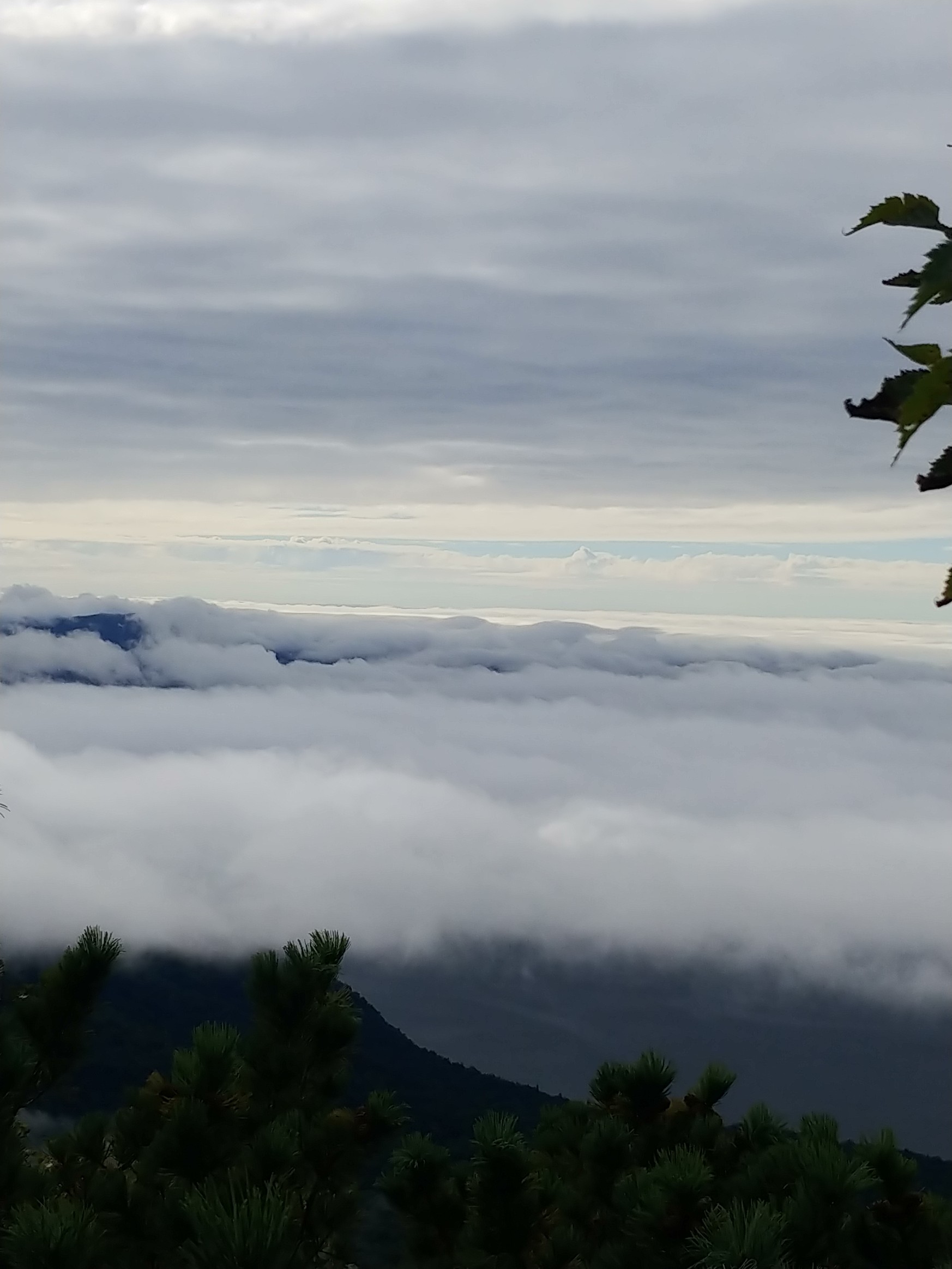 藻琴山 雲海行 09 06 かなけんさんの藻琴山 硫黄山 屈斜路湖 摩周湖の活動データ Yamap ヤマップ