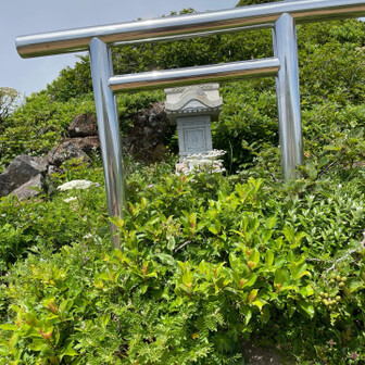 いつも素敵な姿を観せてくださりありがとうございます🙏