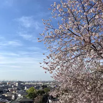 中山寺からの眺望