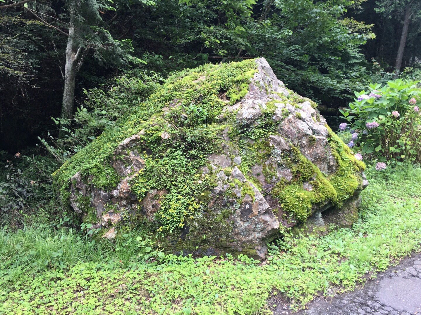 正丸駅 亀岩 伊豆ヶ岳 Makoto Oさんの武甲山 伊豆ヶ岳 小持山の活動日記 Yamap ヤマップ