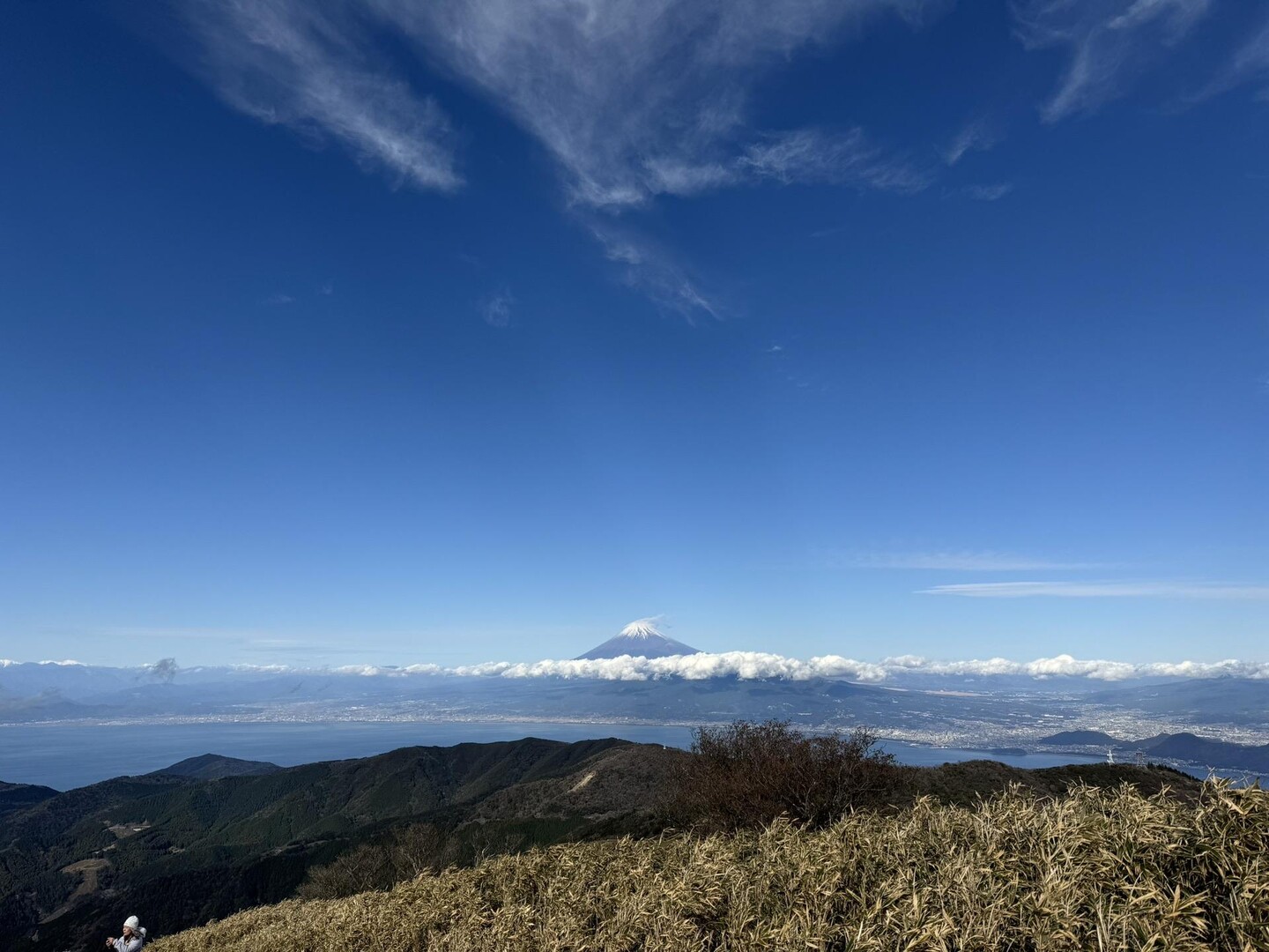 小達磨山・達磨山 / sinさんの金冠山・達磨山・葛城山の活動データ YAMAP / ヤマップ