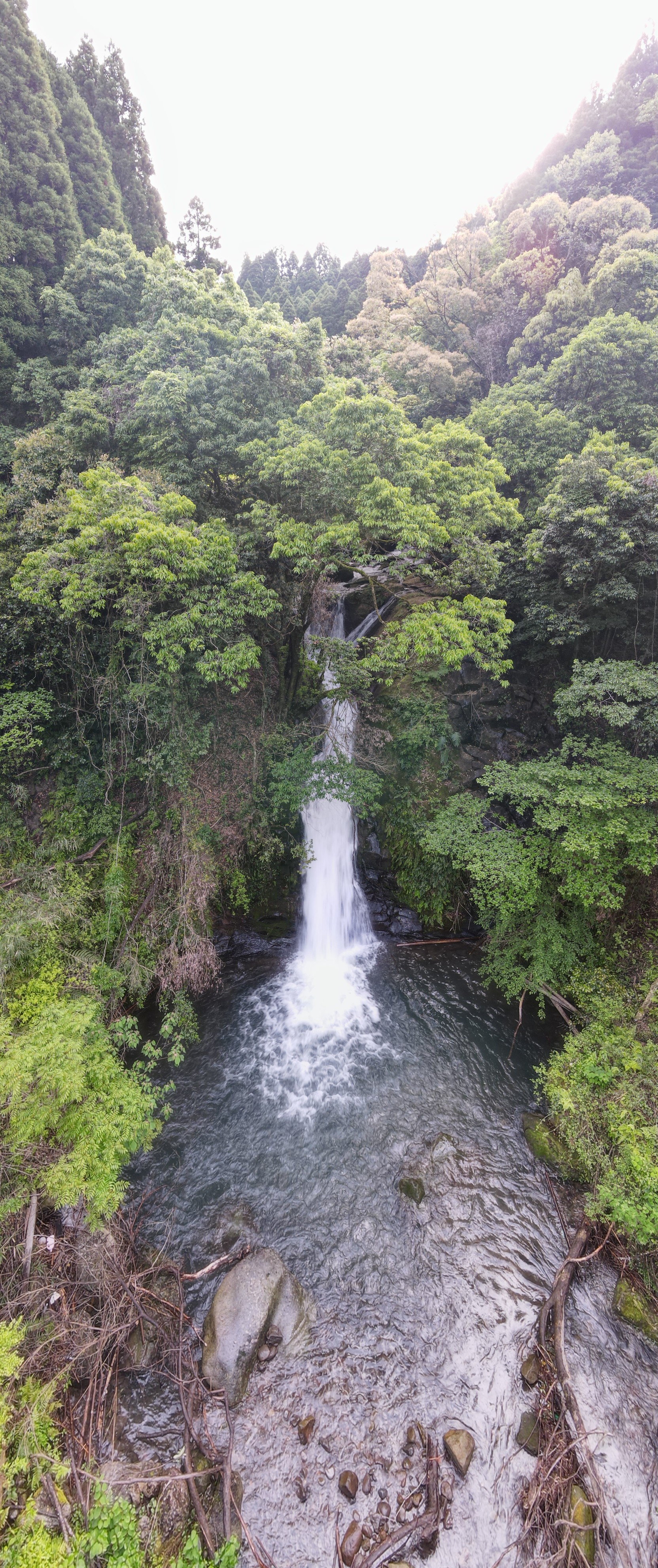 伊良ヶ谷の滝 リベンジならず 今日 しんさんのモーメント Yamap ヤマップ