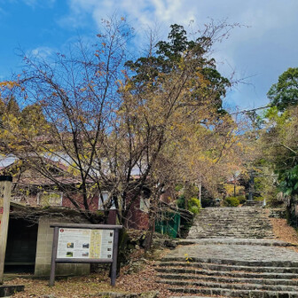 銅の鳥居のちょっと下まで下る🤭