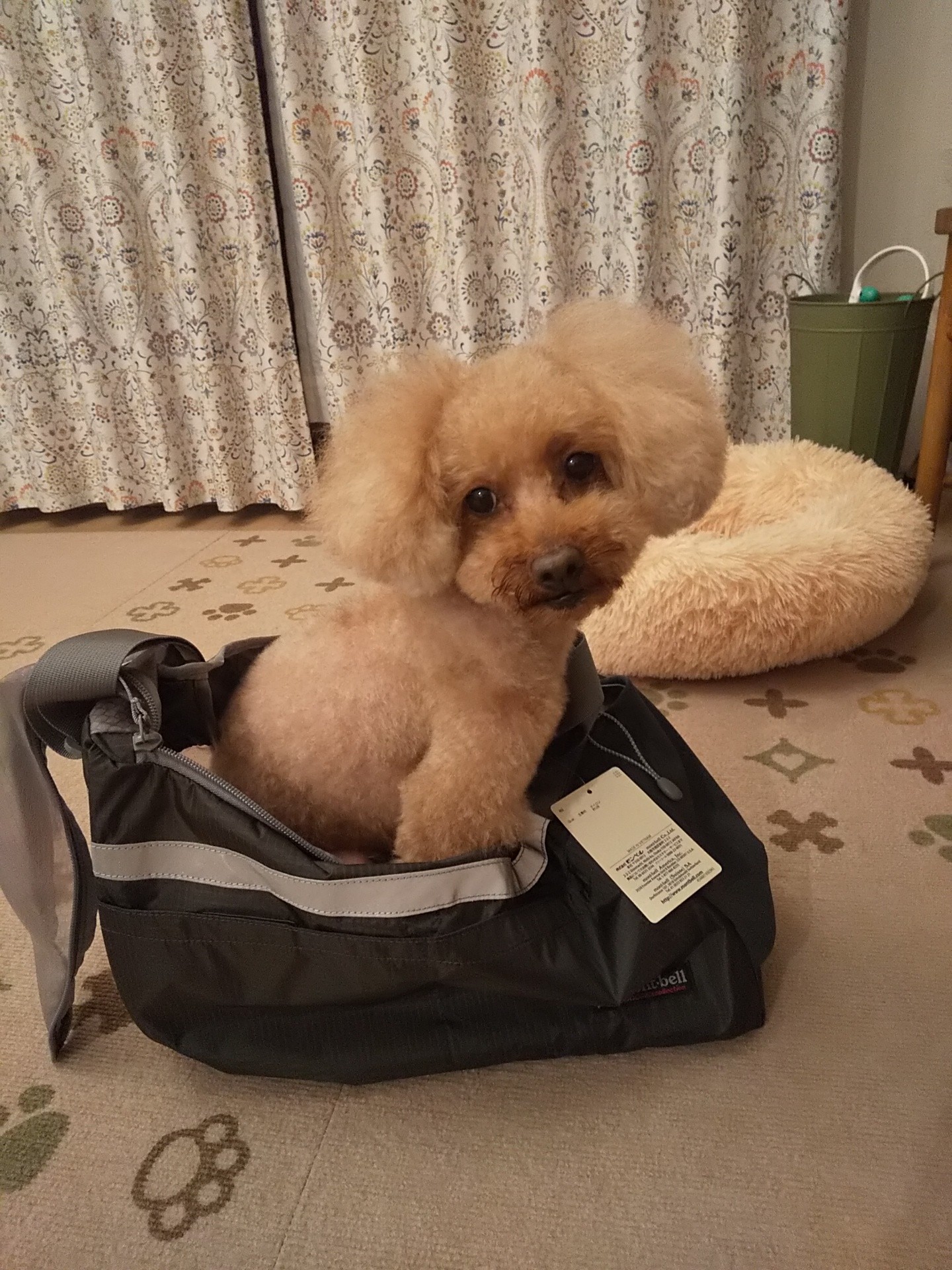 モンベル　ドックキャリングショルダー【L】 モンベルの知見を活かした犬用バッグがアップデート！ウエアも