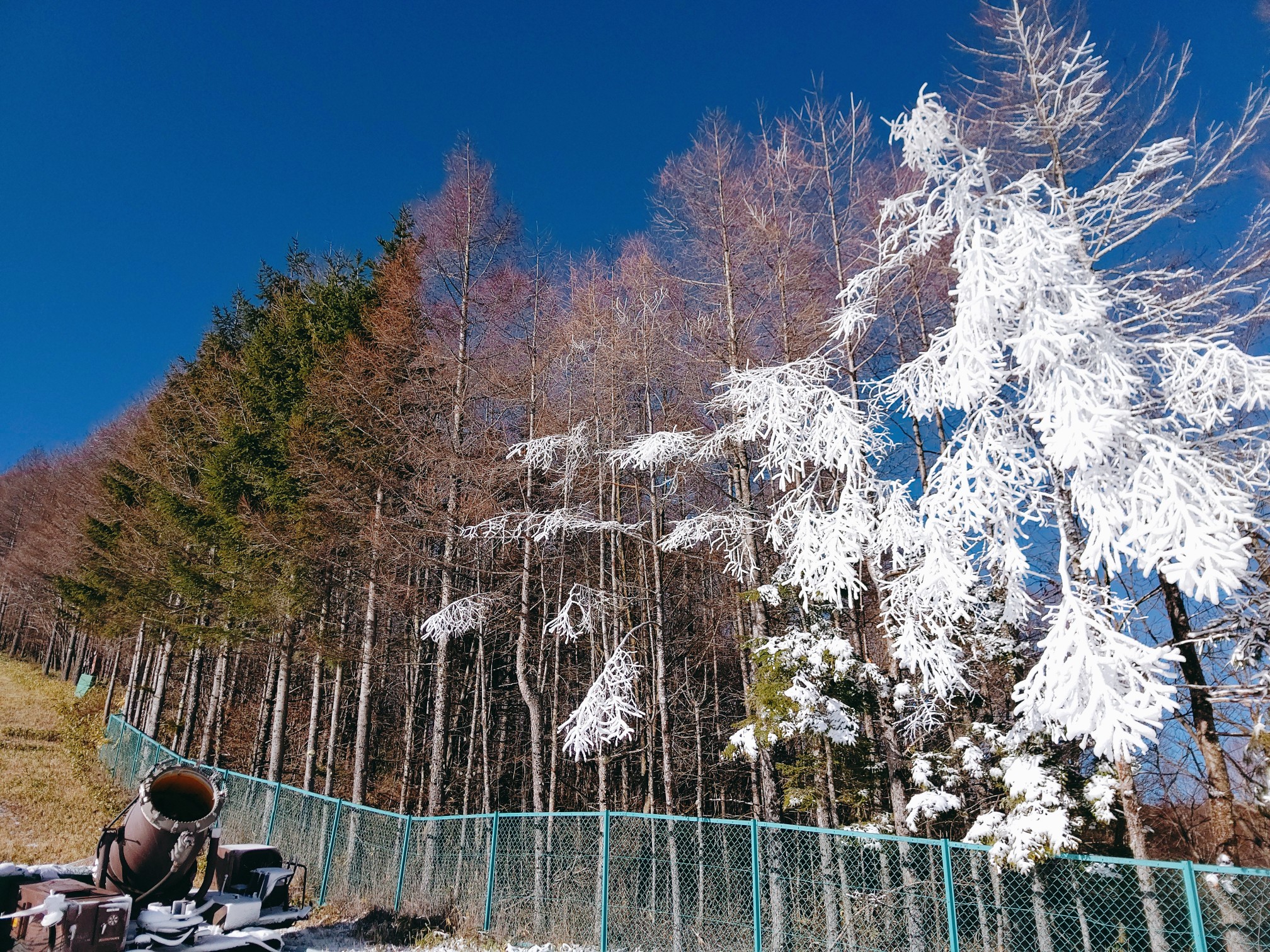 ﾔﾏﾉｽｽﾒ あおひな痛板で初滑り ﾃﾚﾃﾚ ぽいっさんの八ヶ岳 赤岳 硫黄岳 天狗岳 の活動日記 Yamap ヤマップ