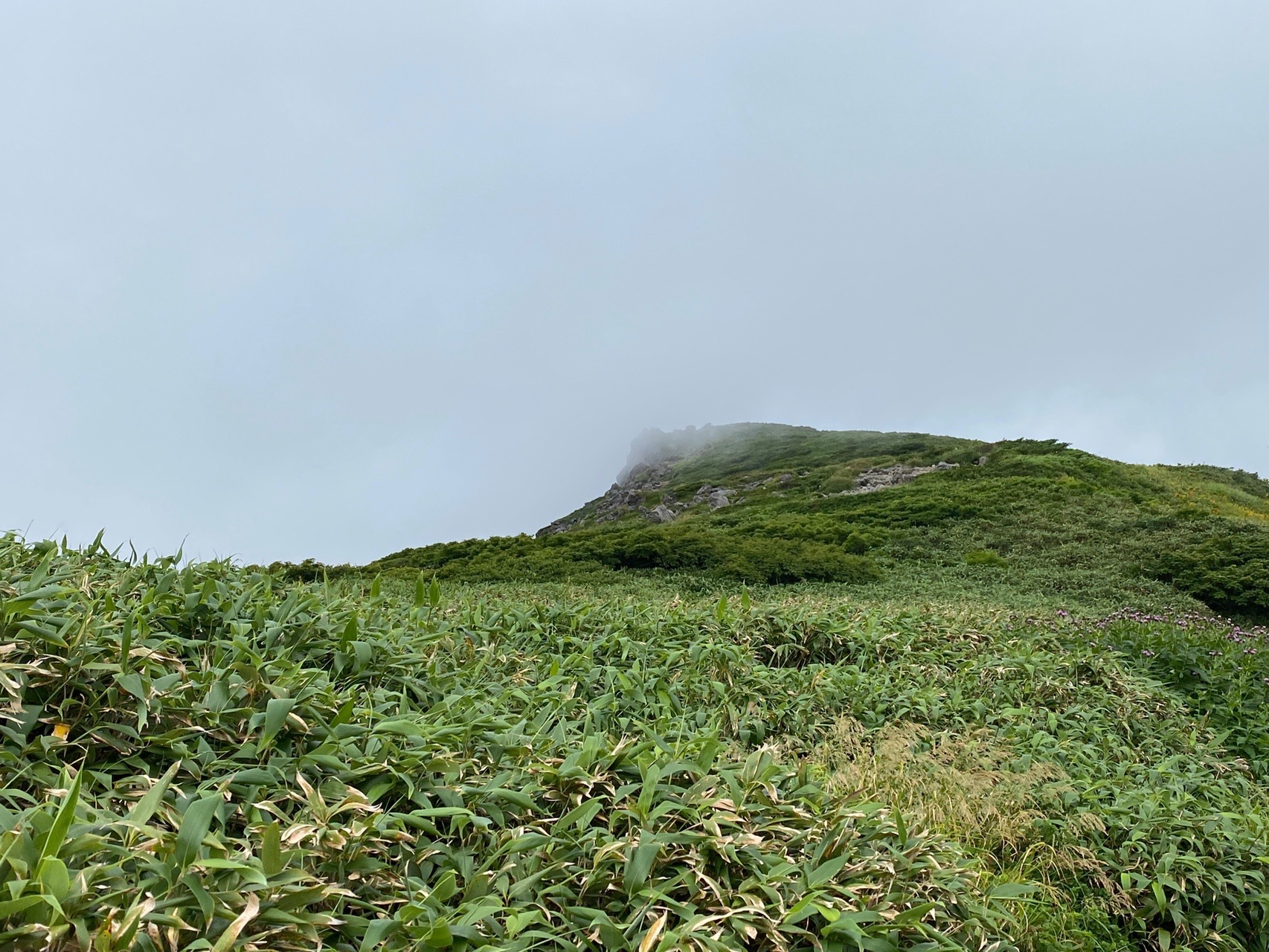 月山 がっさーん 立て ジョー 遊びでねぇんだ 08 13 Goofyさんの月山の活動データ Yamap ヤマップ