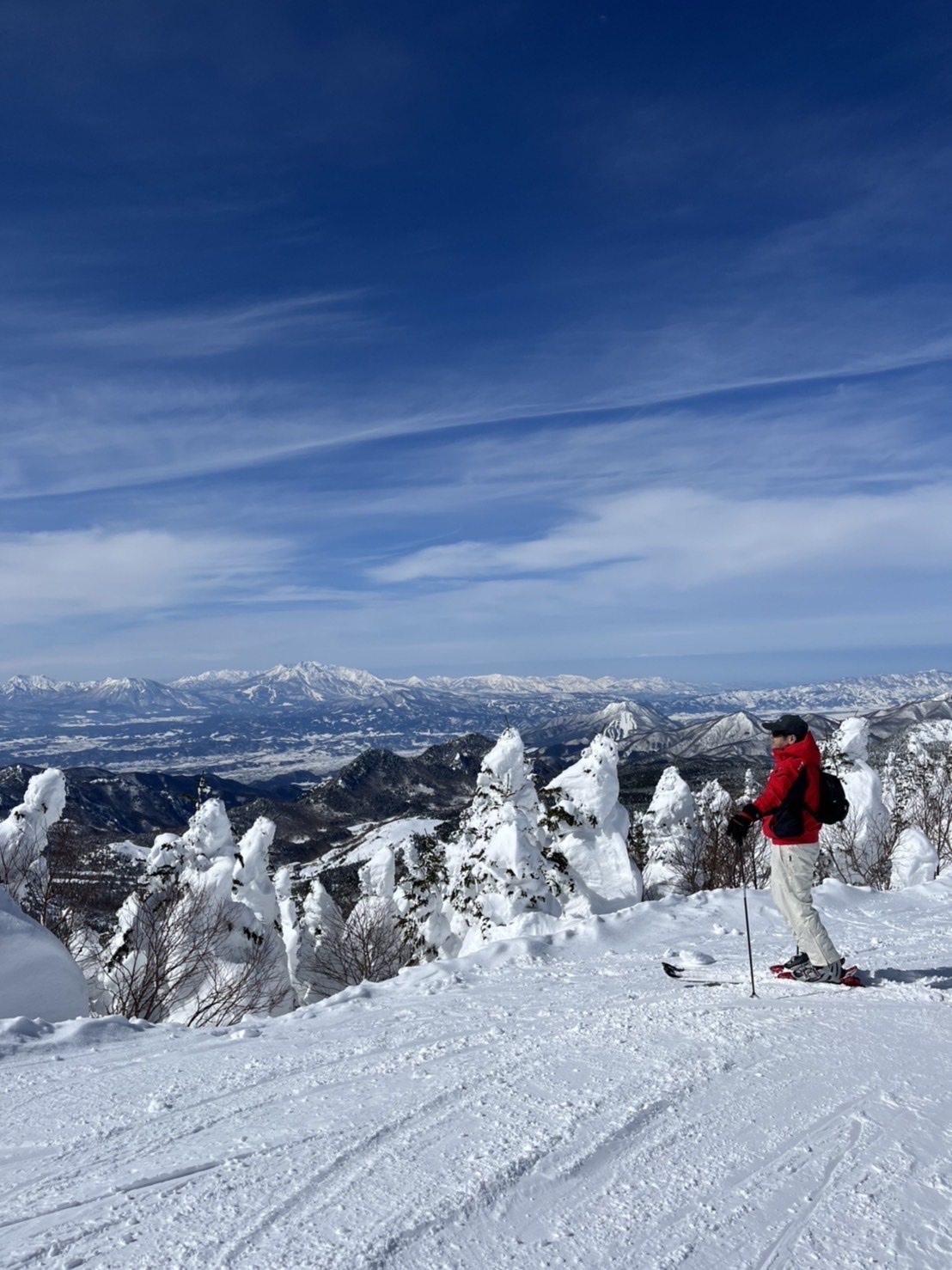 横手山 渋峠 スノーモンスターもどき れぶろん23さんのモーメント Yamap ヤマップ