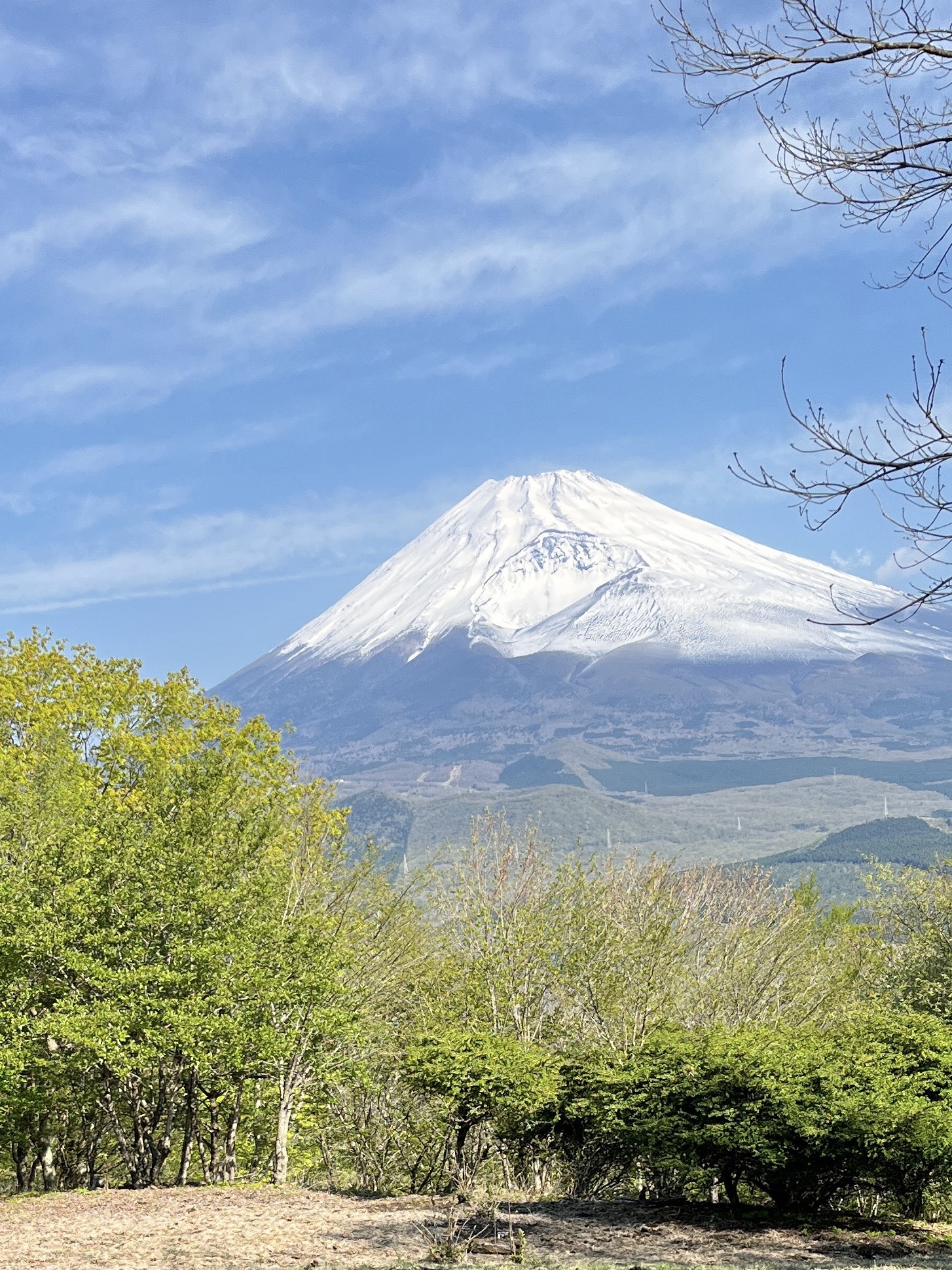 富士山が綺麗に見えるお山へ 黒岳 越前岳 Nkoさんの愛鷹山 大岳 黒岳の活動データ Yamap ヤマップ