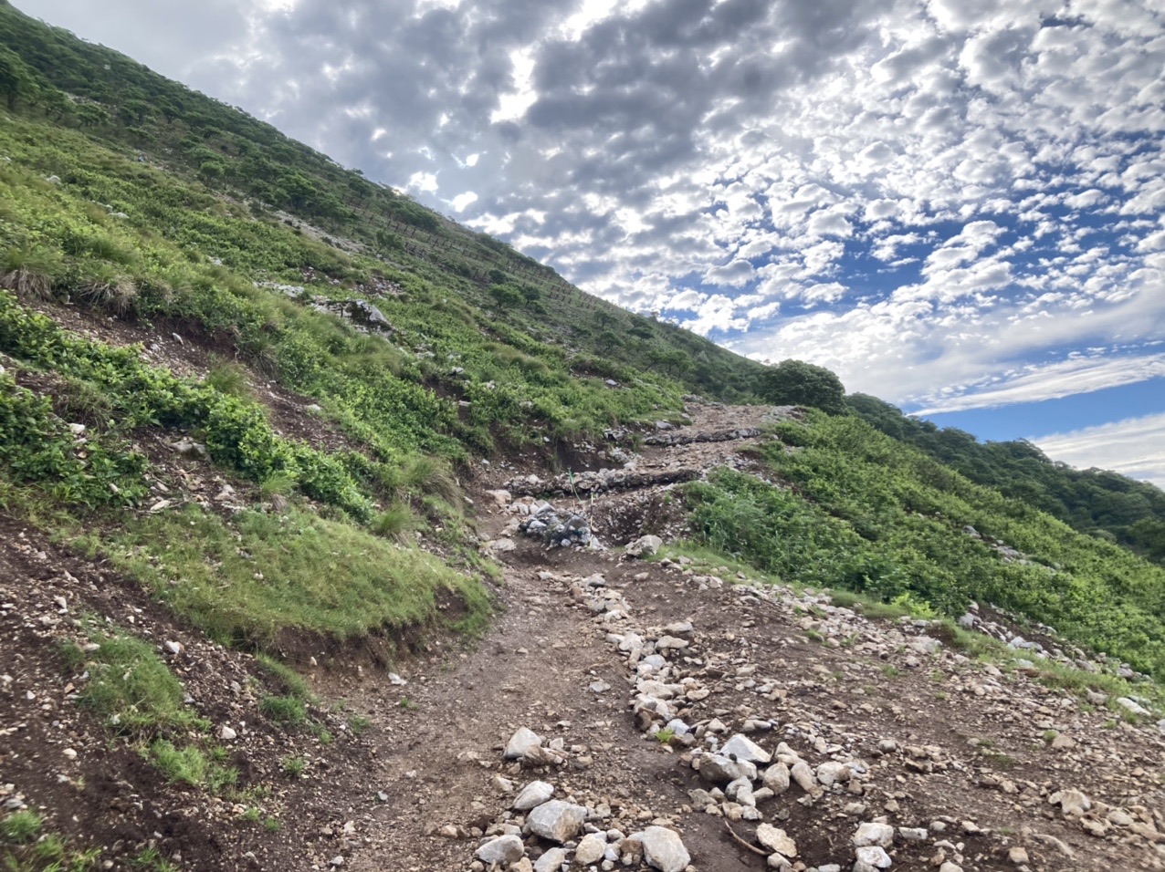 弥高山 伊吹山 上平寺コース ヤマビル襲撃 ゆきとしさんの伊吹山 伊吹高原 御座峰の活動データ Yamap ヤマップ