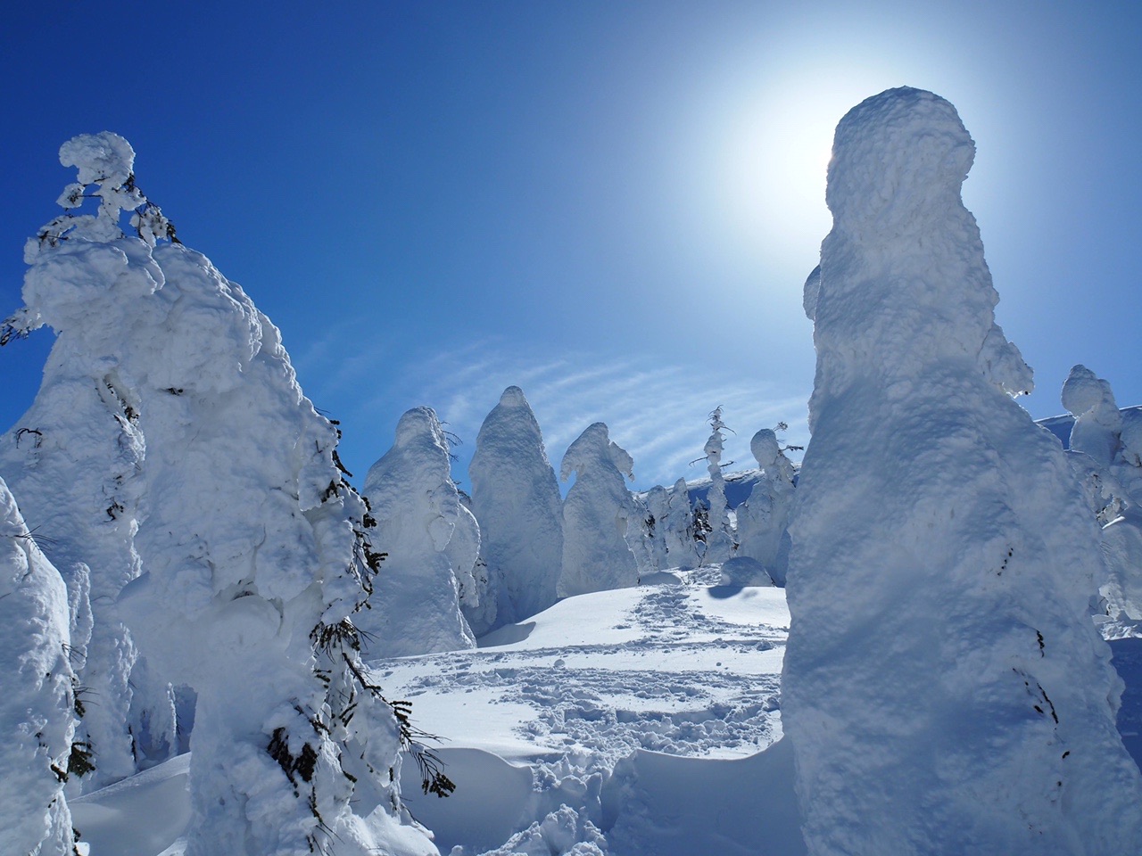 蔵王山 熊野岳 スノーモンスターと果てしない雪の造形美 ヒロミさんの蔵王山 雁戸山 不忘山の活動日記 Yamap ヤマップ