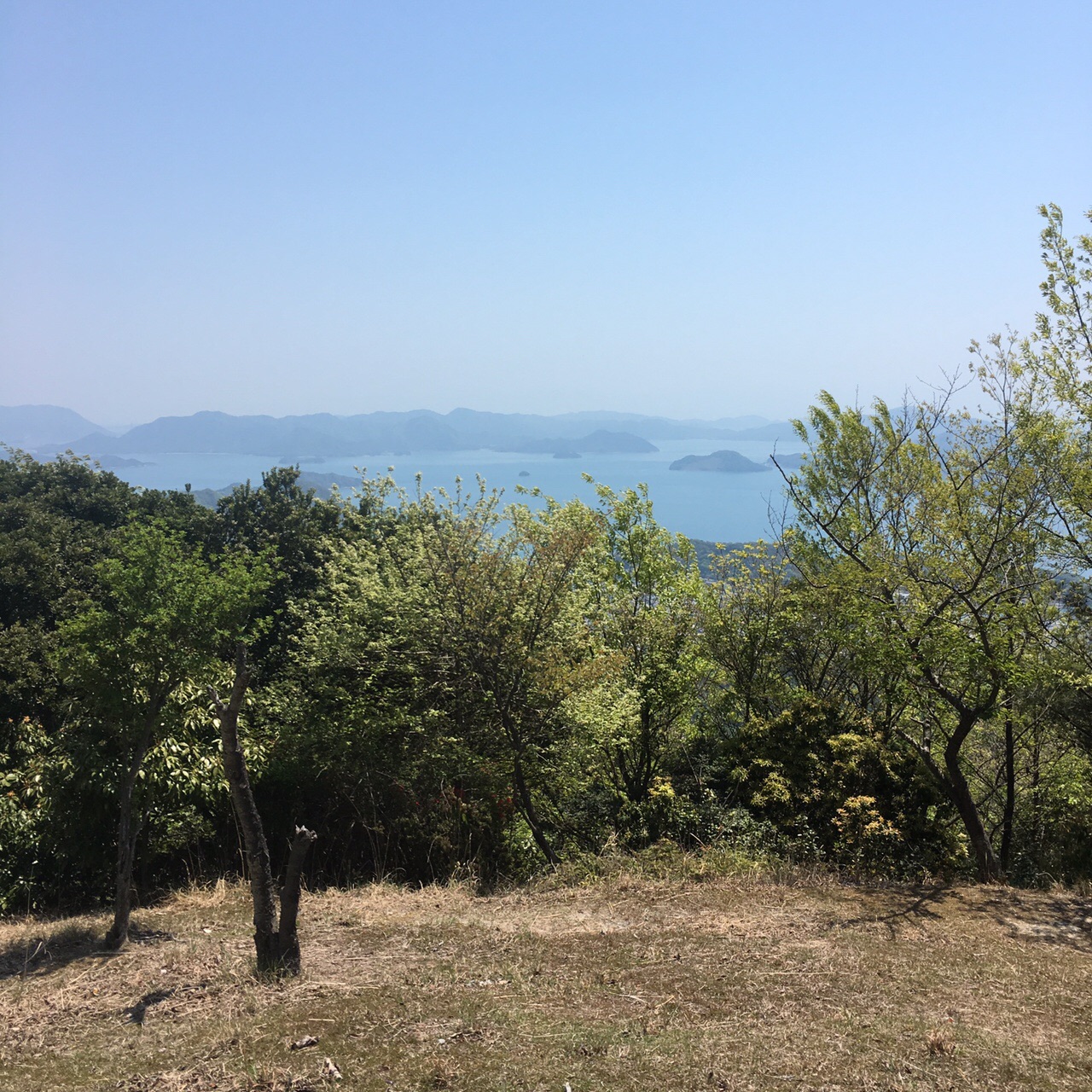 朝日山 広島県竹原市 04 29 しゃんしゃんさんの朝日山 鷹ノ巣山 広島県竹原市 の活動データ Yamap ヤマップ