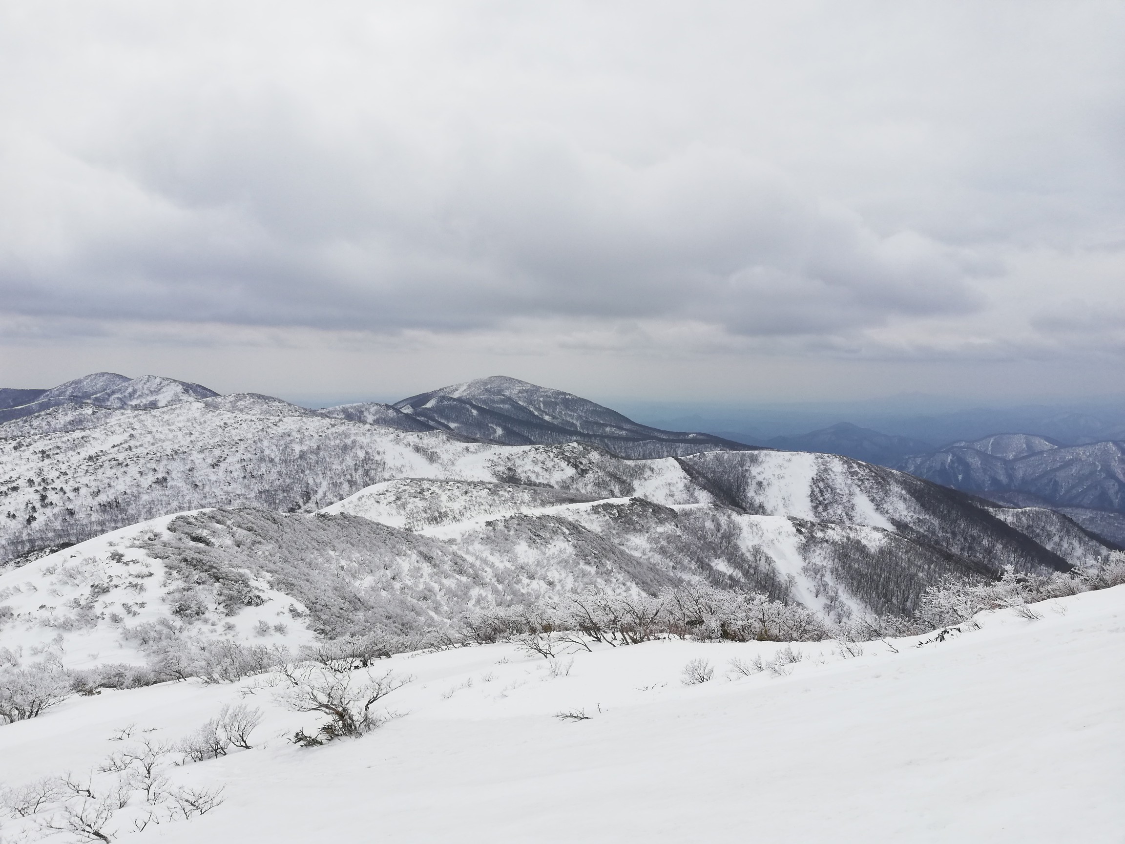 この辺から「最高〜♪」連呼w