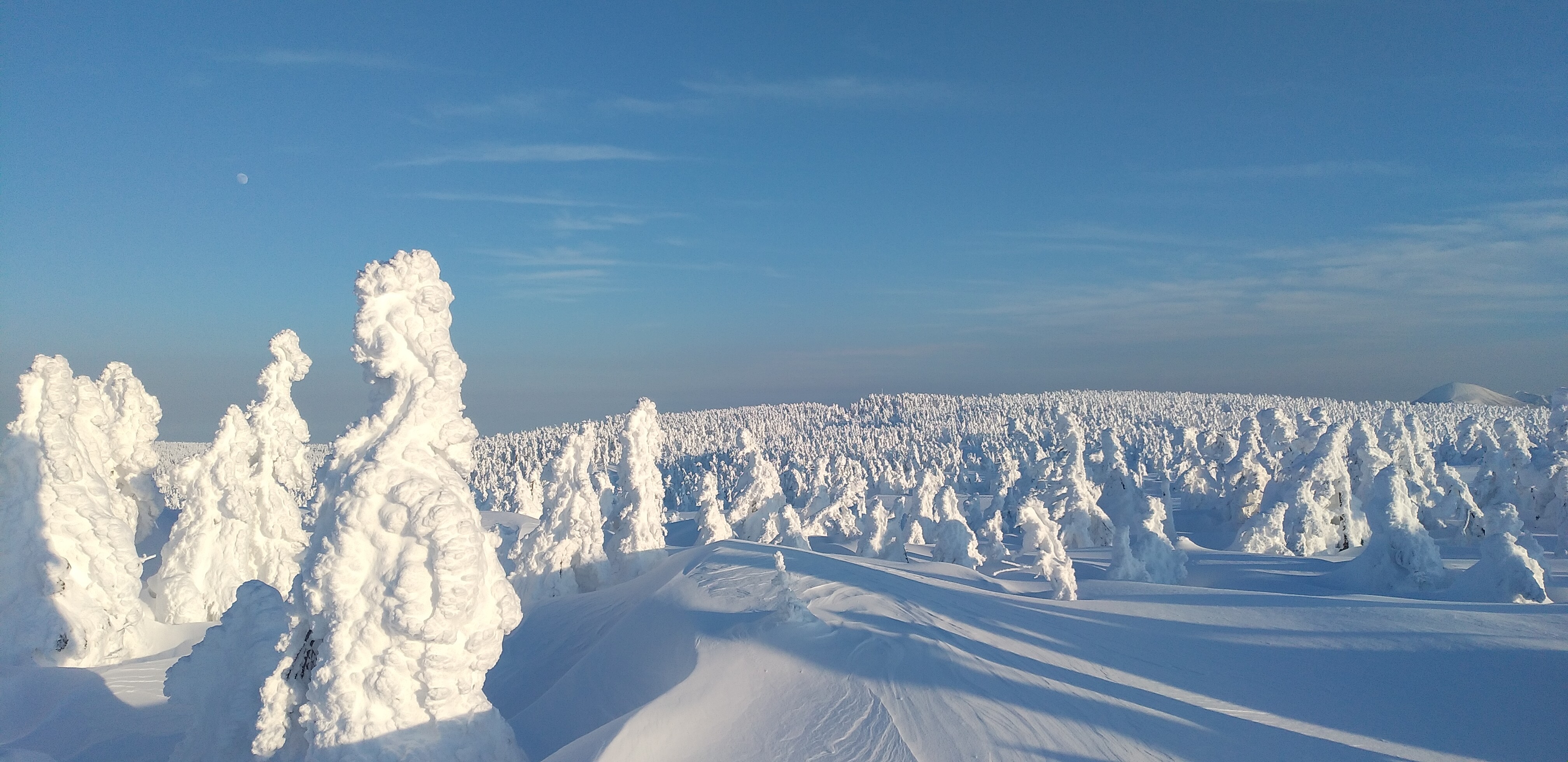 八幡平樹氷 じゅんさんの八幡平 源太森 安比岳の活動データ Yamap ヤマップ