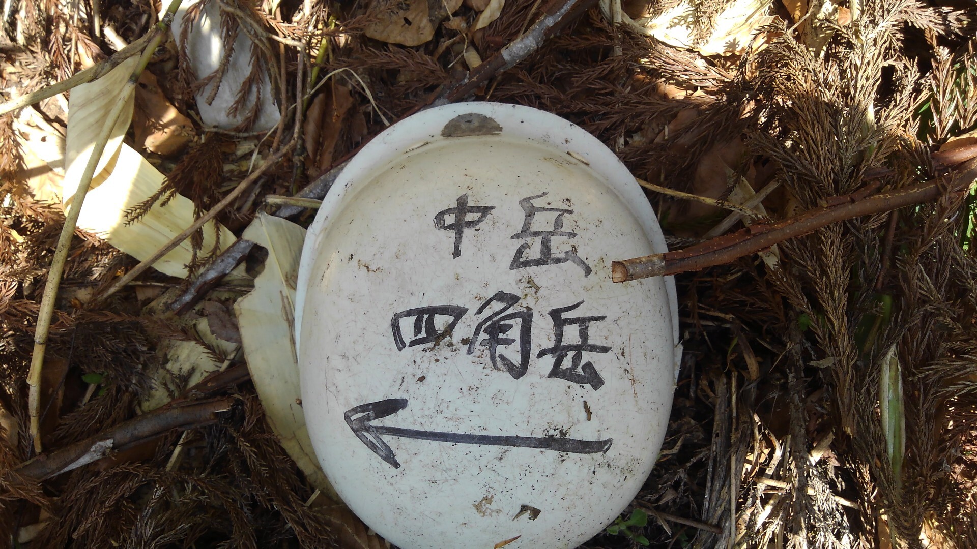 中岳・四角岳 / なるせさんの四角岳・中岳・独鈷森の活動データ YAMAP / ヤマップ