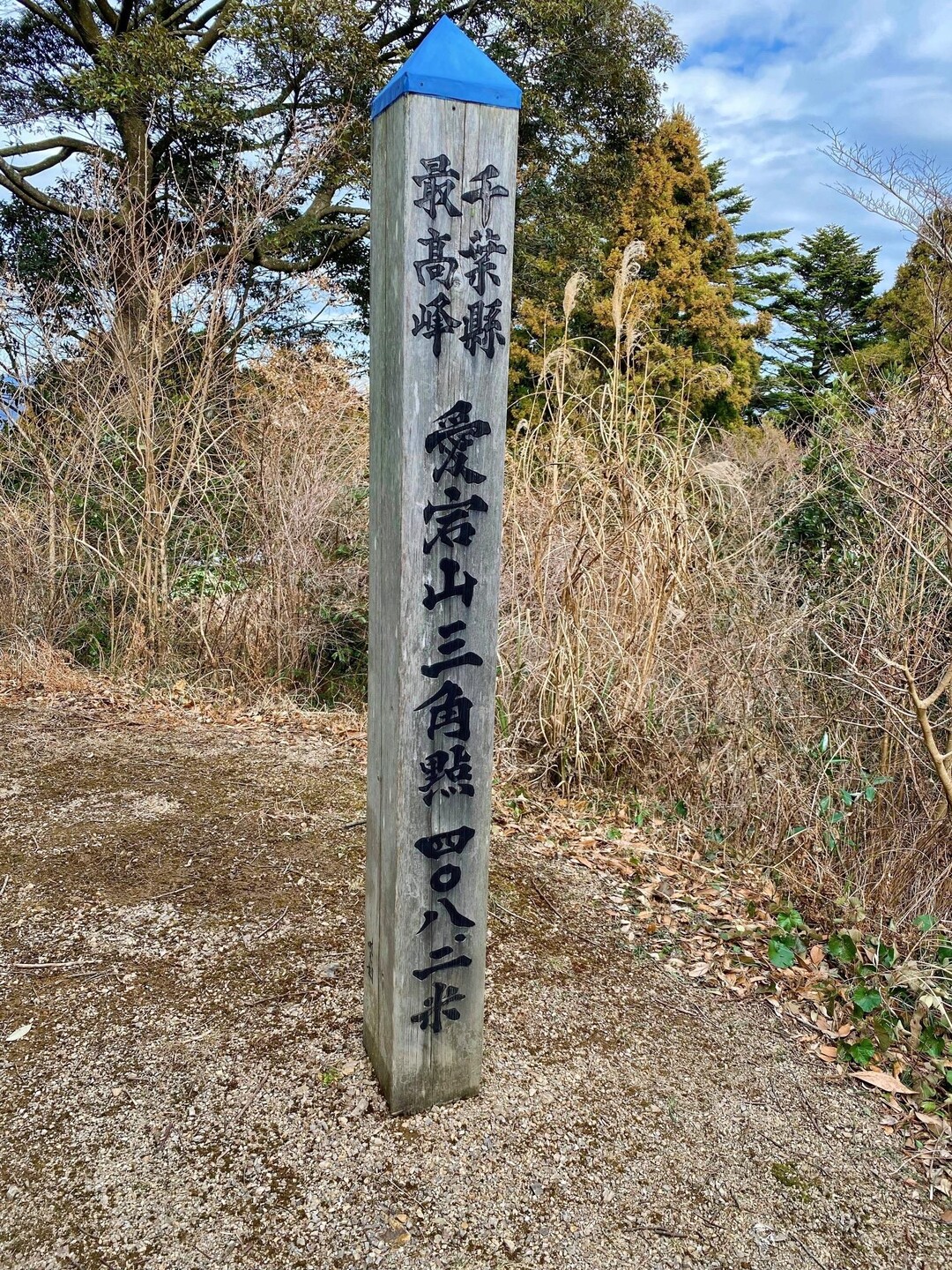 千葉最高峰 ️愛宕山⛰ / Nmamaさんの愛宕山・二ツ山・大山千枚田の活動データ YAMAP / ヤマップ