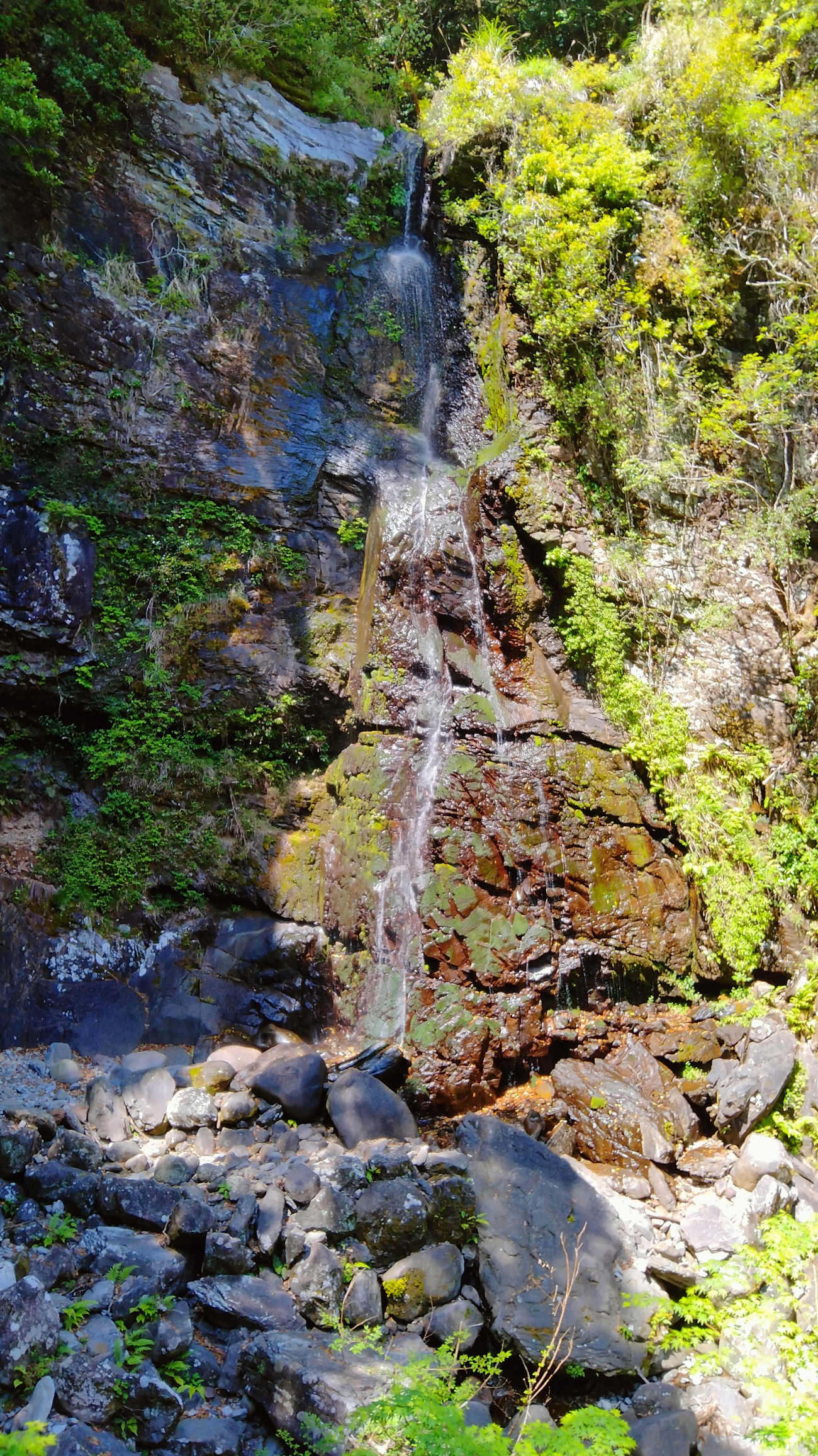 こんなんじゃ傾山 は無理 たか 孤高のソロッパー さんの登山の活動日記 Yamap ヤマップ