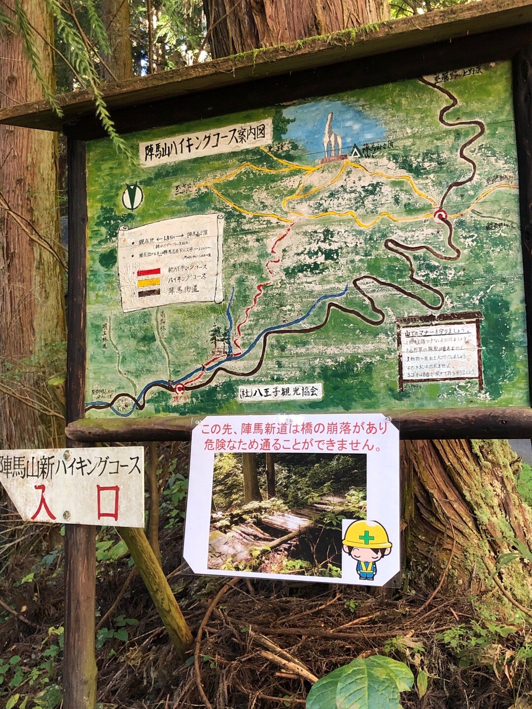 陣馬高原下からの奥高尾縦走 msさんの高尾山 陣馬山 景信山の活動日記 Yamap ヤマップ