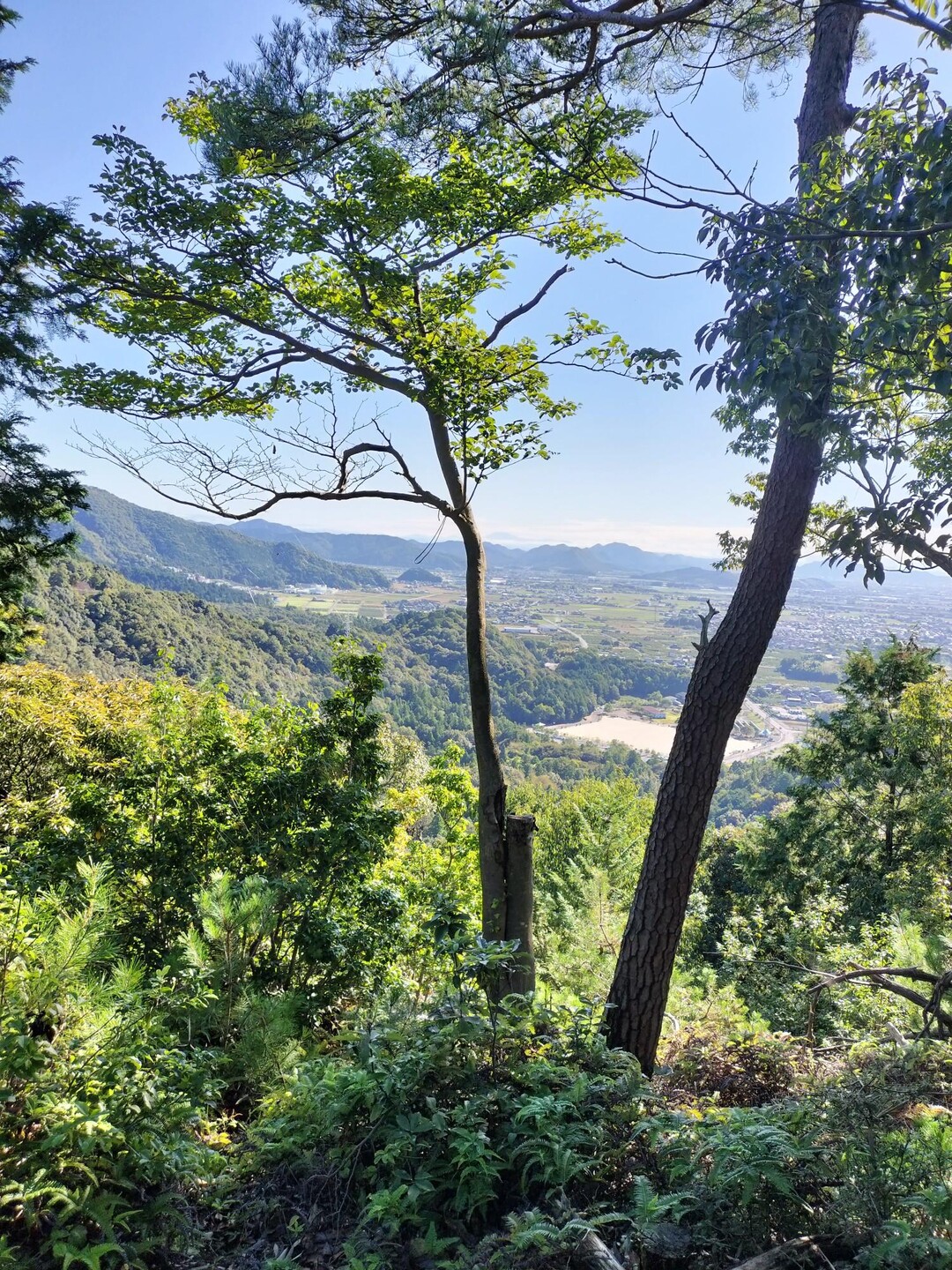 野村山 / inojunさんの大谷山・滝谷山・城ヶ峰の活動データ | YAMAP / ヤマップ