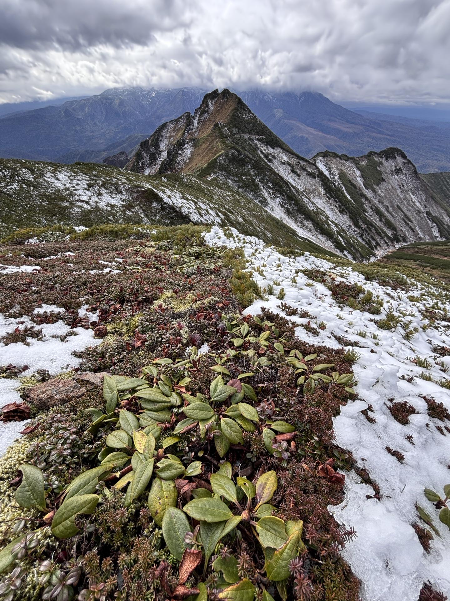 油絵「ニセイカウシュペ山」 油絵「ニセイカウシュペ山」 油絵「ニセイカウシュペ山