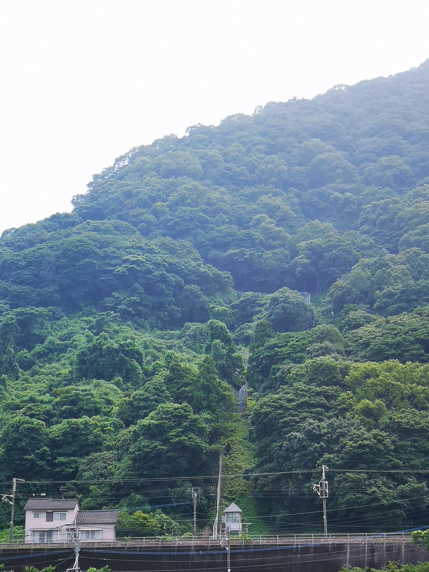高崎山 北登山口から両郡橋へ 07 ｊｕｎさんの高崎山の活動データ Yamap ヤマップ