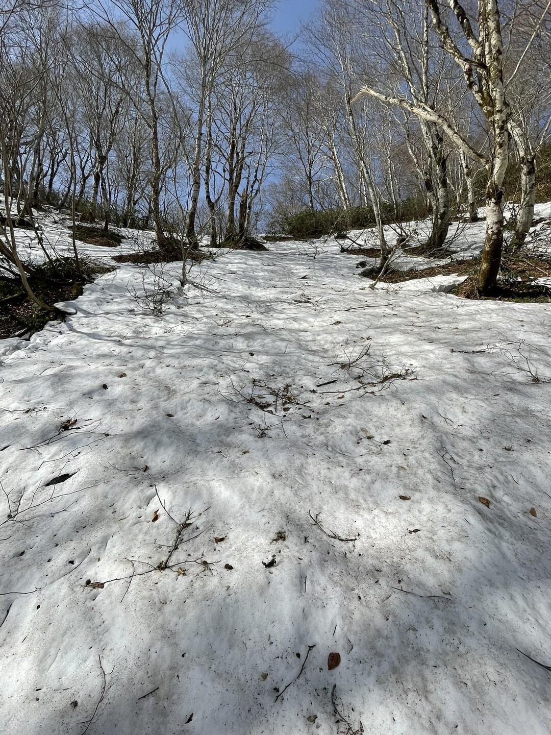 [福島県 大戸岳] 以前から気になってい... / Yさんのモーメント YAMAP / ヤマップ