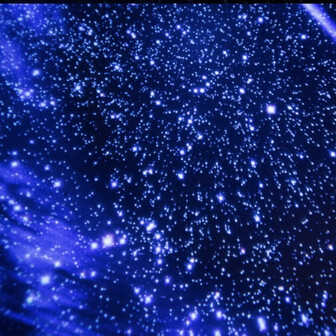 ＊アスタリスク