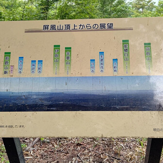 条件が良ければ