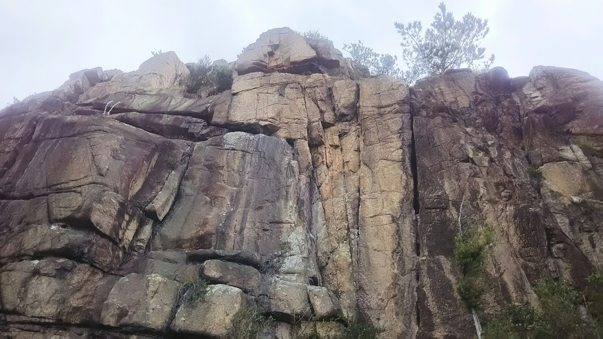 火の山連峰 プチ縦走 ゆのひらさんの火の山 陶ヶ岳の活動日記 Yamap ヤマップ