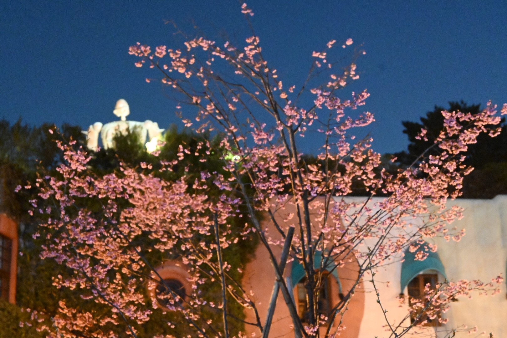 井の頭公園夜散歩 何となく写真撮りたく Gt2 0さんのモーメント Yamap ヤマップ