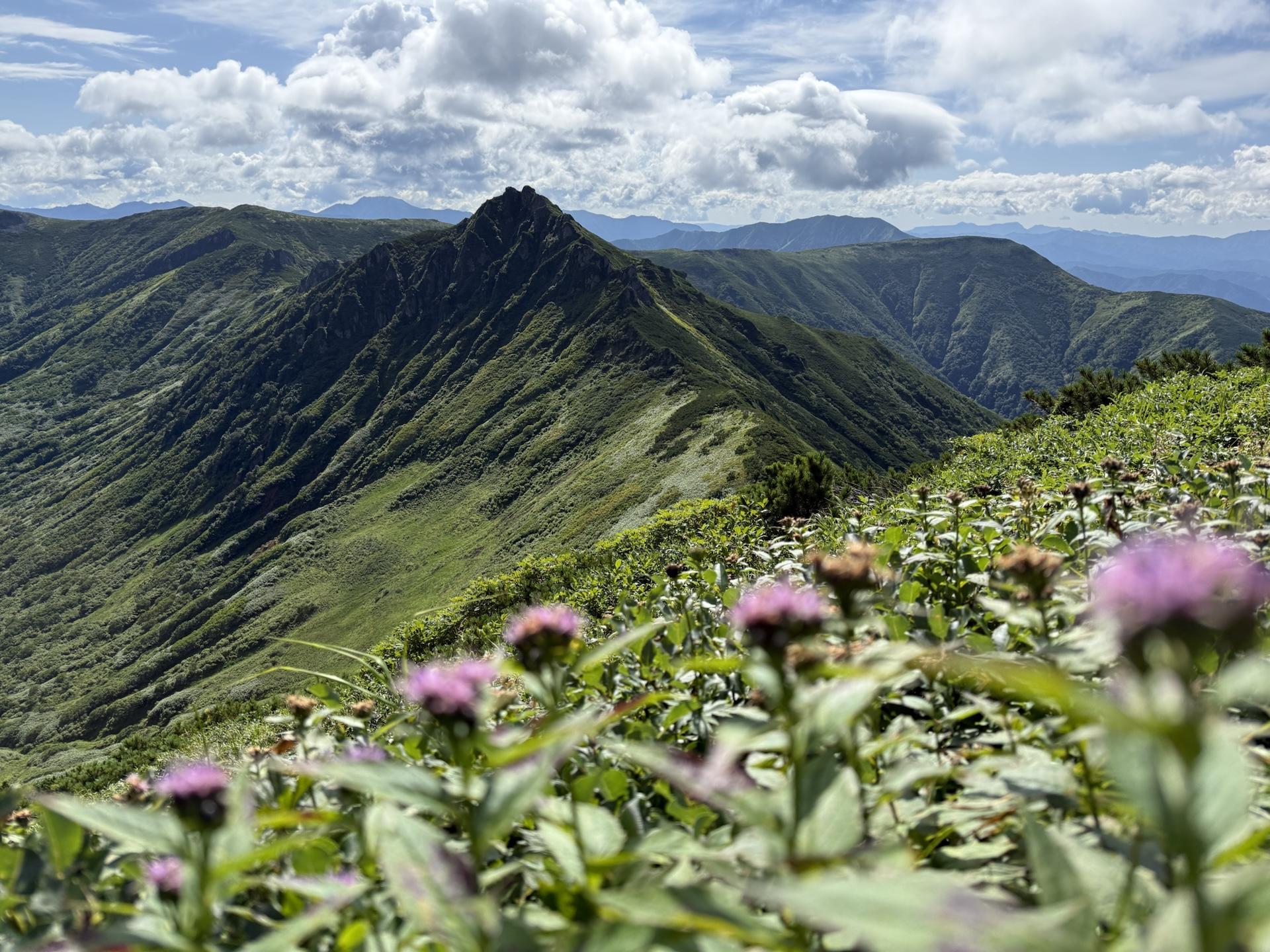 油絵「ニセイカウシュペ山」 油絵「ニセイカウシュペ山」 油絵「ニセイカウシュペ山」