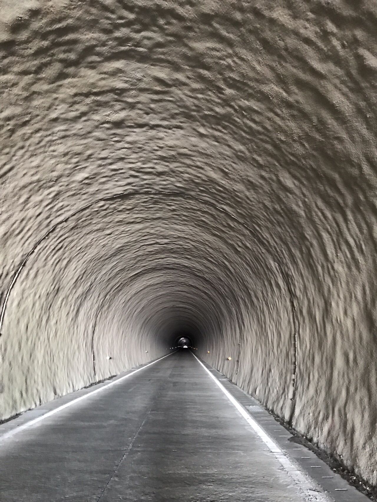 冬山舐めたらあかんぜよ きょうくんさんの笹ヶ峰 寒風山 平家平の活動データ Yamap ヤマップ