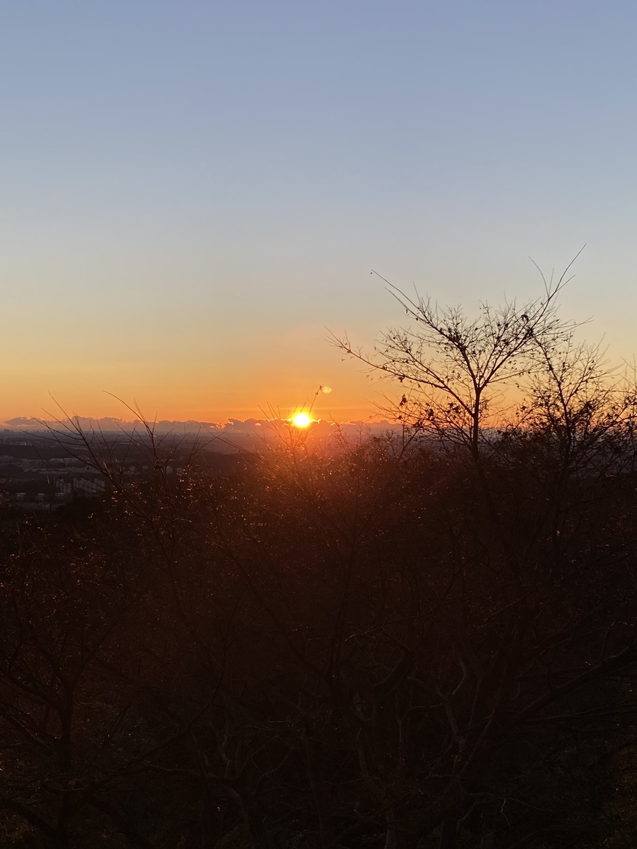 21 01 01 初登り 初日の出 高尾山口駅 高尾山 城山 小仏城山 景信山 陣馬山 相模湖駅 ケトジェニック登山 のら さんの高尾山 陣馬山 景信山の活動データ Yamap ヤマップ