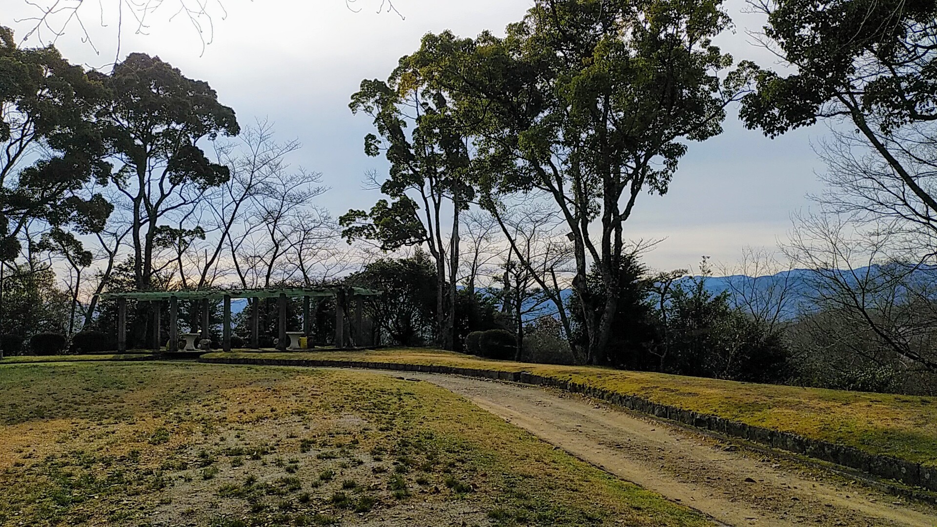 黒シバくん 三石山の吊り橋は やっさんさんの岩湧山 一徳防山 三石山の活動日記 Yamap ヤマップ