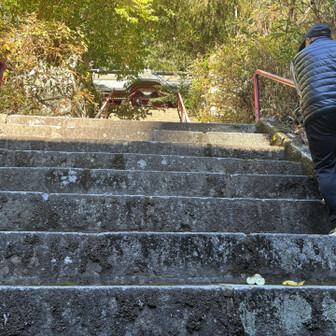 じぃじ頑張って登る図🧗