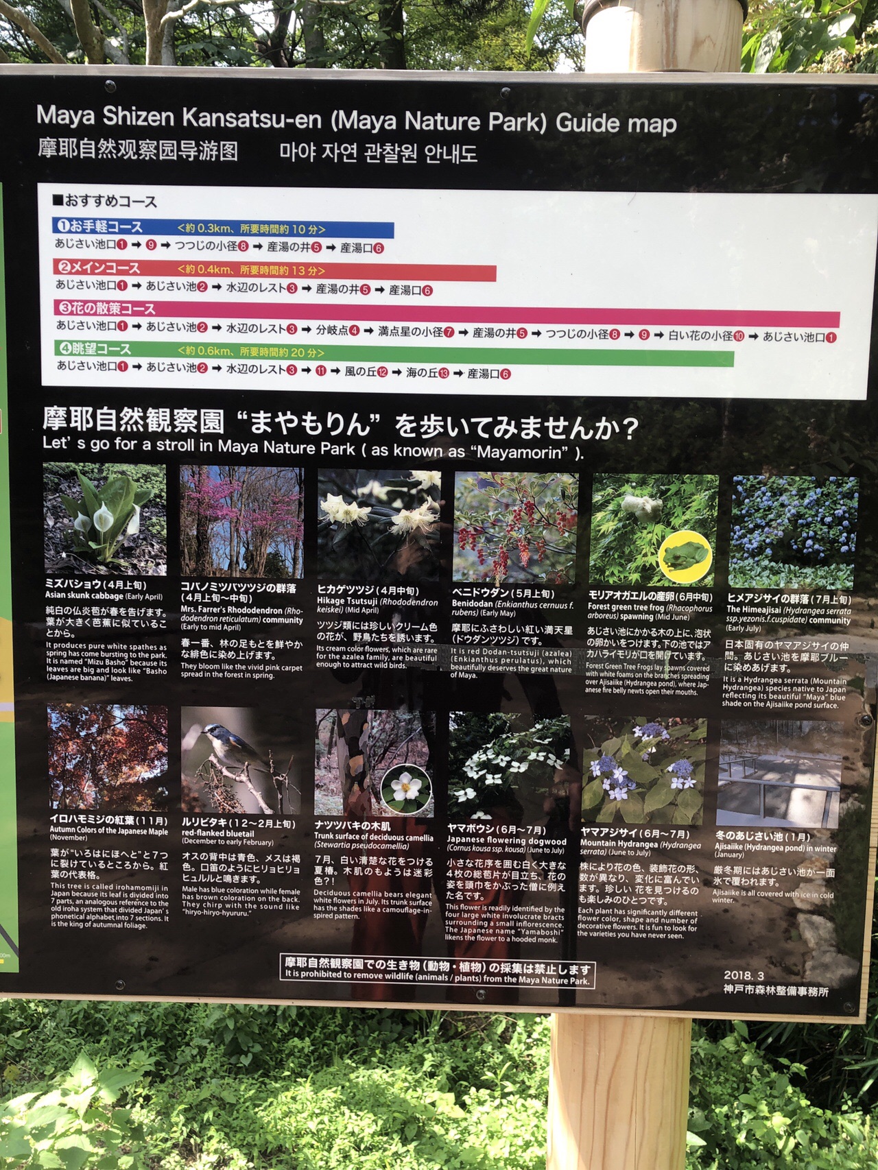 摩耶山19 08 25 サスライさんの六甲山 長峰山 摩耶山の活動日記 Yamap ヤマップ