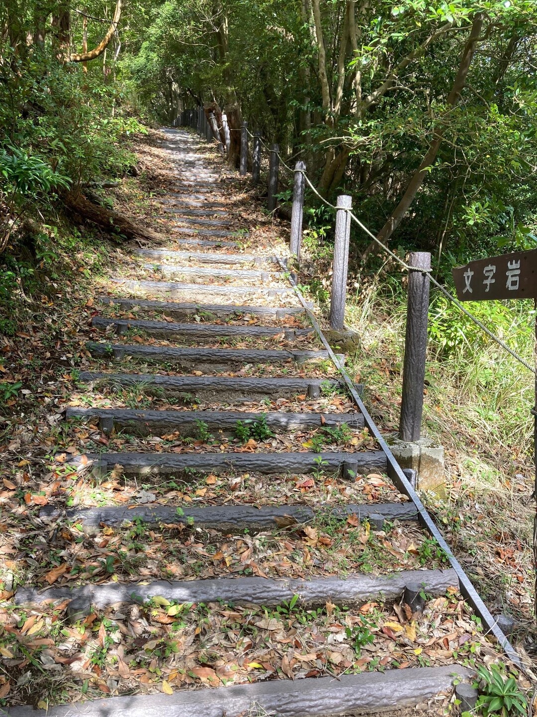 文字岡・烏帽子岳・小烏帽子岳・赤松ピーク / オットーさんの霧島山・韓国岳・高千穂峰・夷守岳・烏帽子岳の活動データ YAMAP / ヤマップ