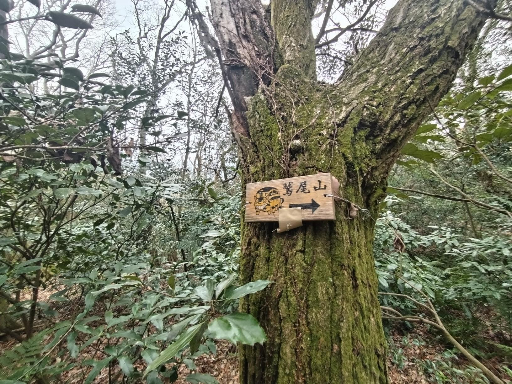 燈明岳・小倉山・天照山・鬼取山・生駒山・鷲尾山・鐃速日山 / arc04032さんの生駒山・神津嶽・大原山の活動データ YAMAP / ヤマップ