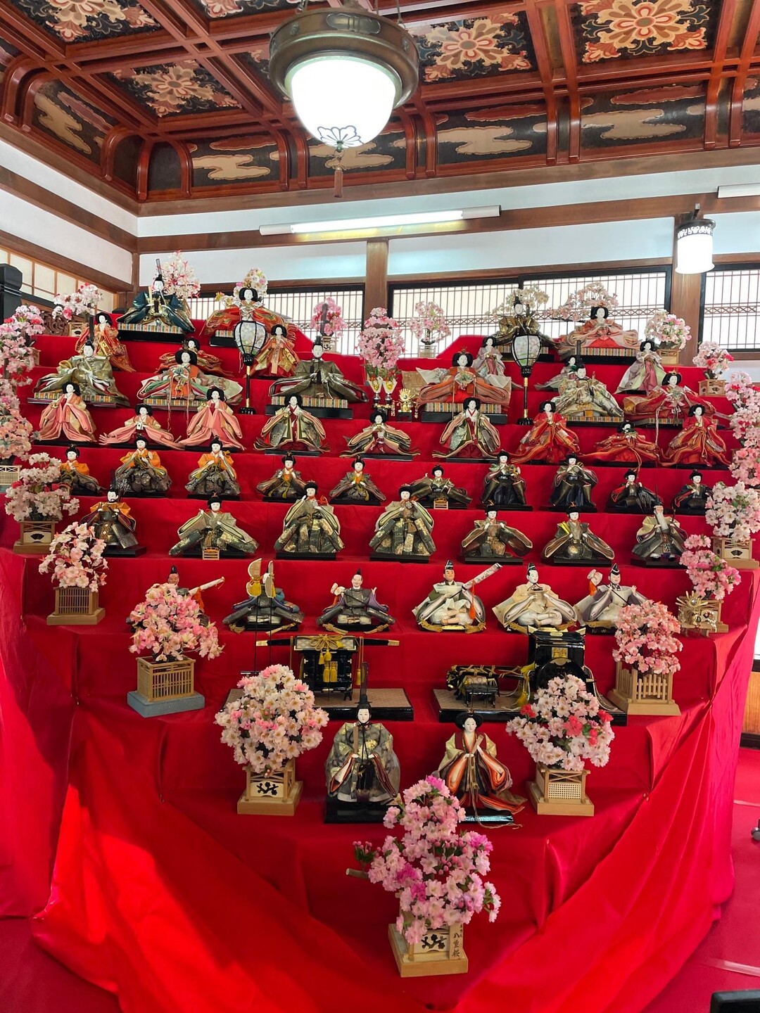 ひな祭りで賑わう家康公ゆかりの古刹可睡斎をゆく / ゆうこりん さんの小笠山の活動データ YAMAP / ヤマップ