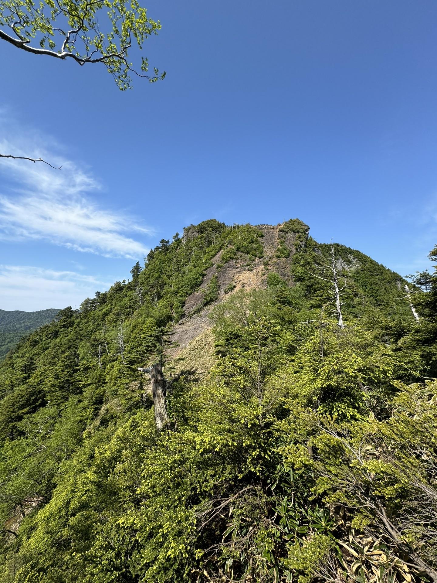 皇海山・袈裟丸山・庚申山 鋸山🪚