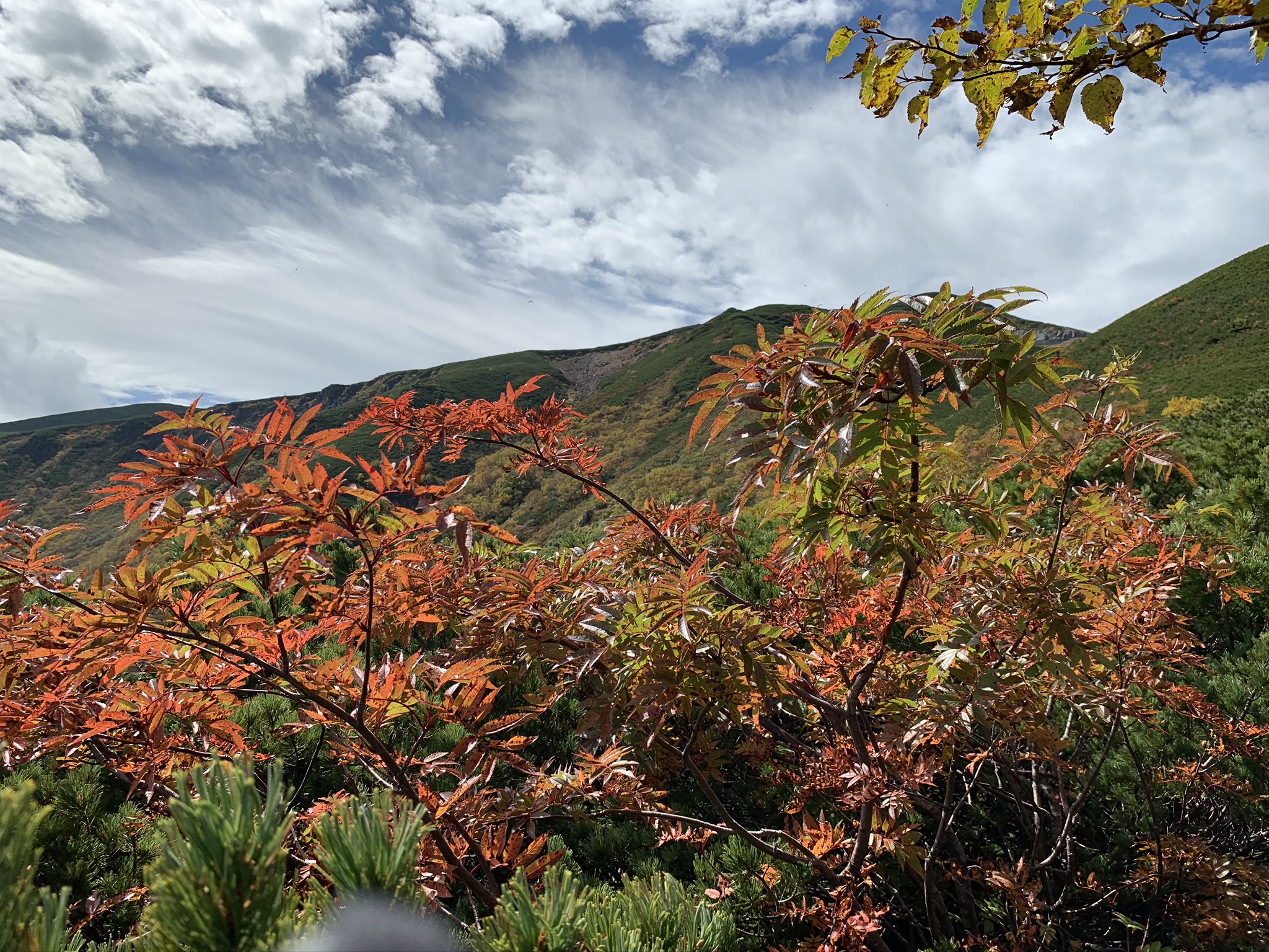乗鞍岳 平湯ルートの羊 紅葉偵察 金山岩 大黒岳 畳平まで 19 09 30 わかりんさんの乗鞍岳の活動日記 Yamap ヤマップ