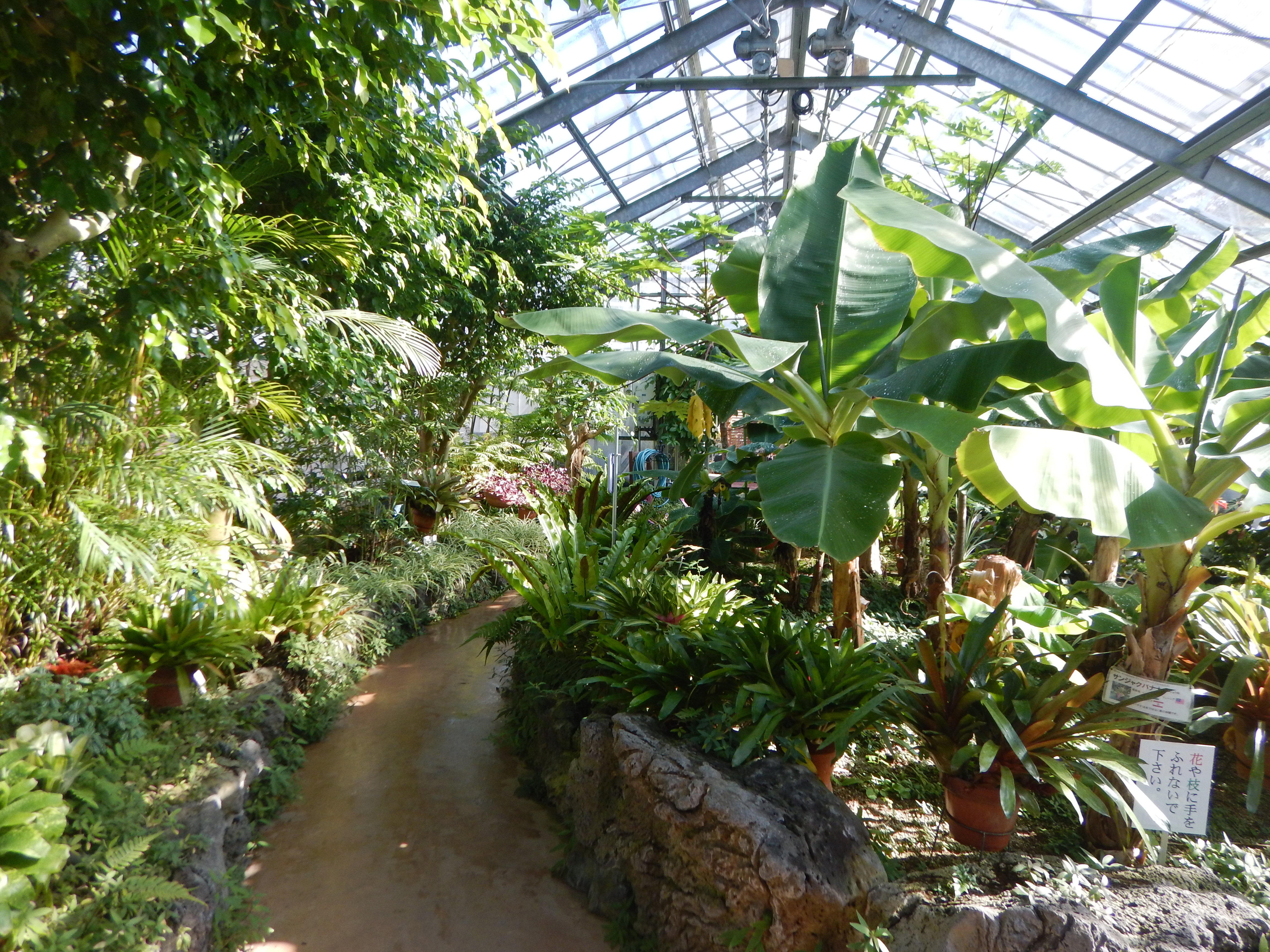 自宅から和歌山県植物公園 緑花センターまでサイクリング なかむらさんの和歌山市の活動日記 Yamap ヤマップ
