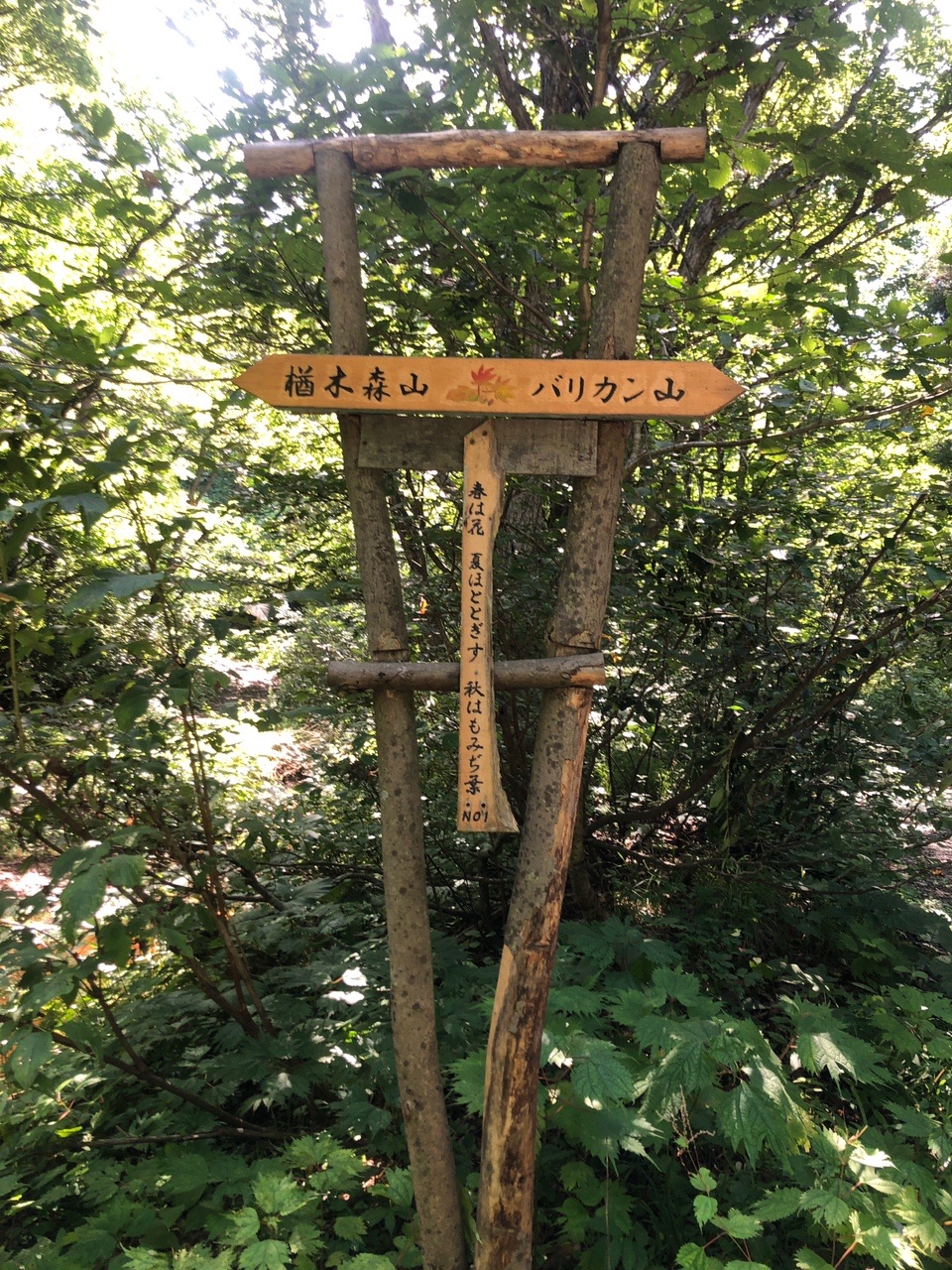 楢木森山 / たなかさんの青森市の活動データ  YAMAP / ヤマップ