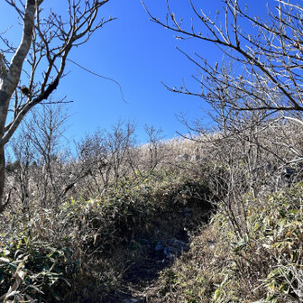 天狗の森の山頂付近