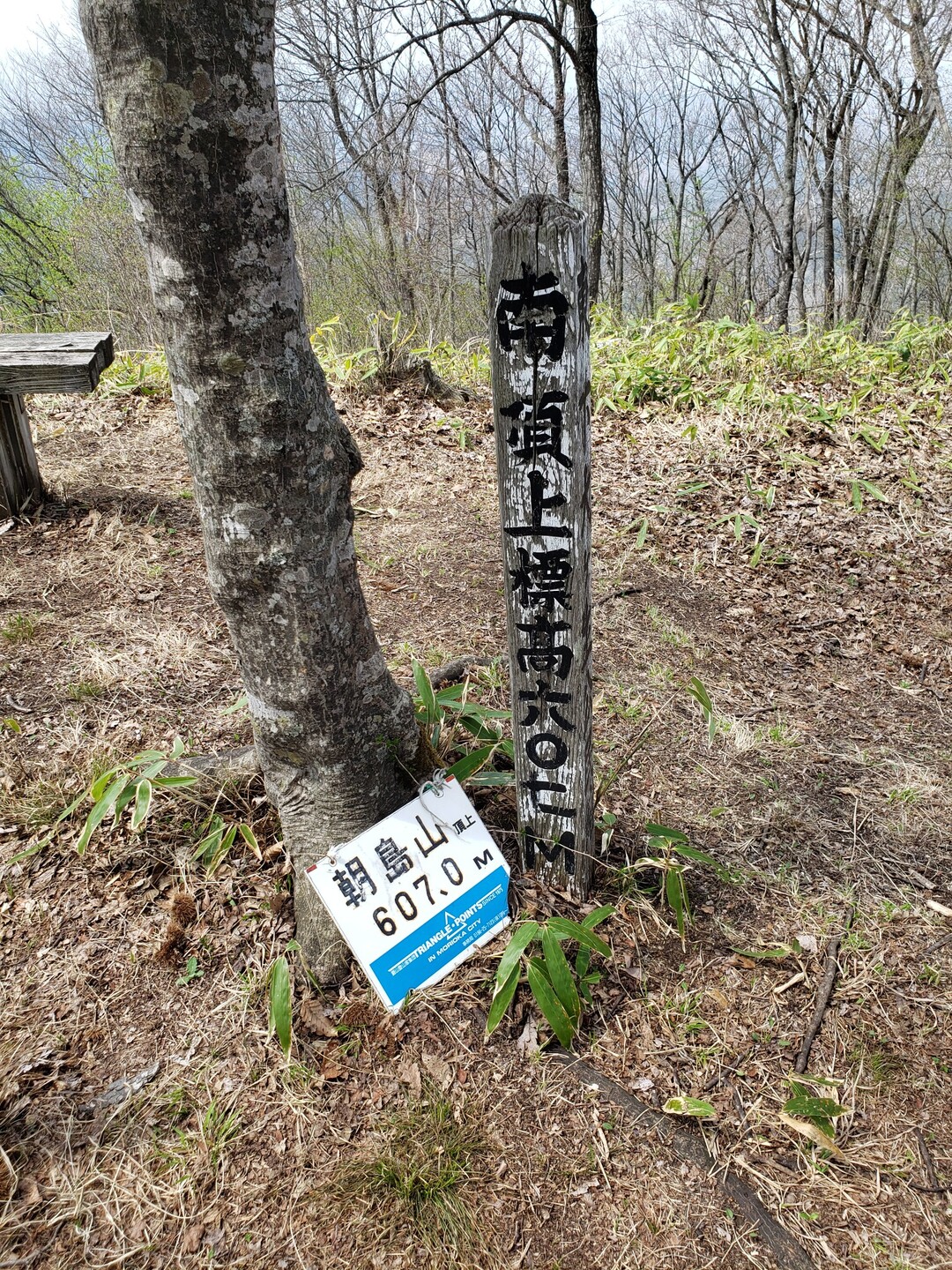 朝島山(岩手県盛岡市・紫波町)20200504 / ゆうさんの黒森山・朝島山の活動データ YAMAP / ヤマップ