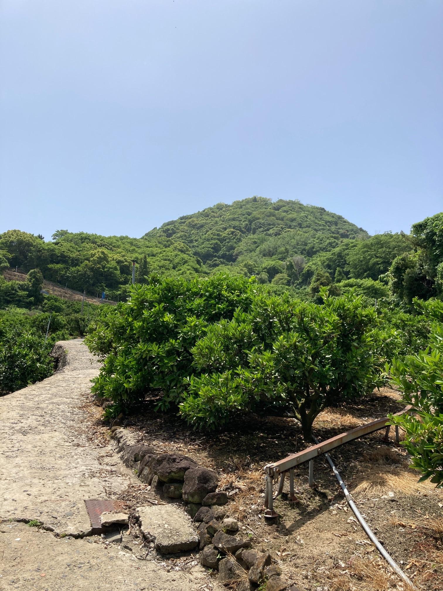 小富士 / 243さんの興居島の活動データ YAMAP / ヤマップ