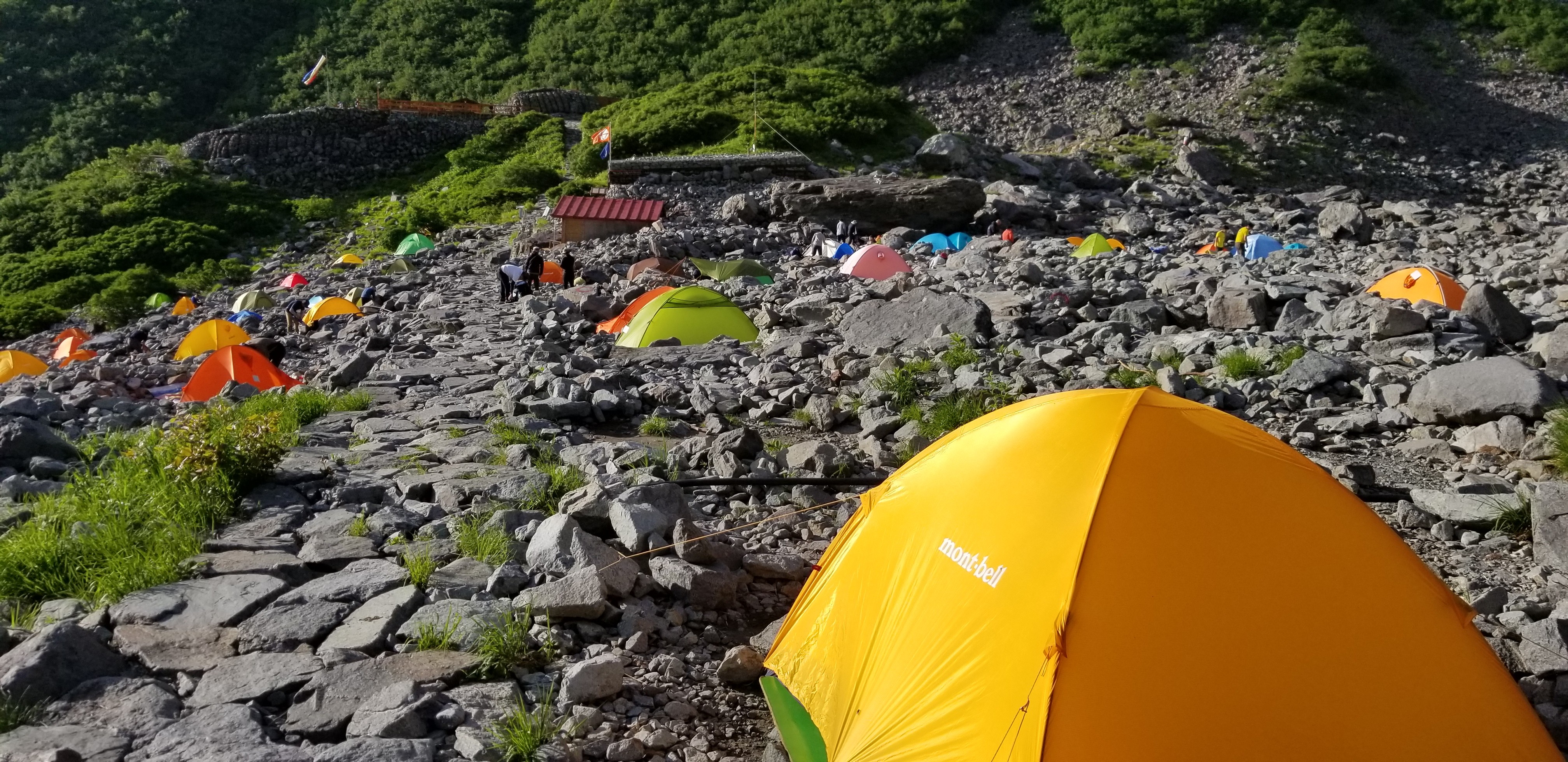 秋 だけじゃない 花 の涸沢も見ずして穂高を語ることなかれ 魔の山なんて誰が言うさんの槍ヶ岳 穂高岳 上高地の活動日記 Yamap ヤマップ